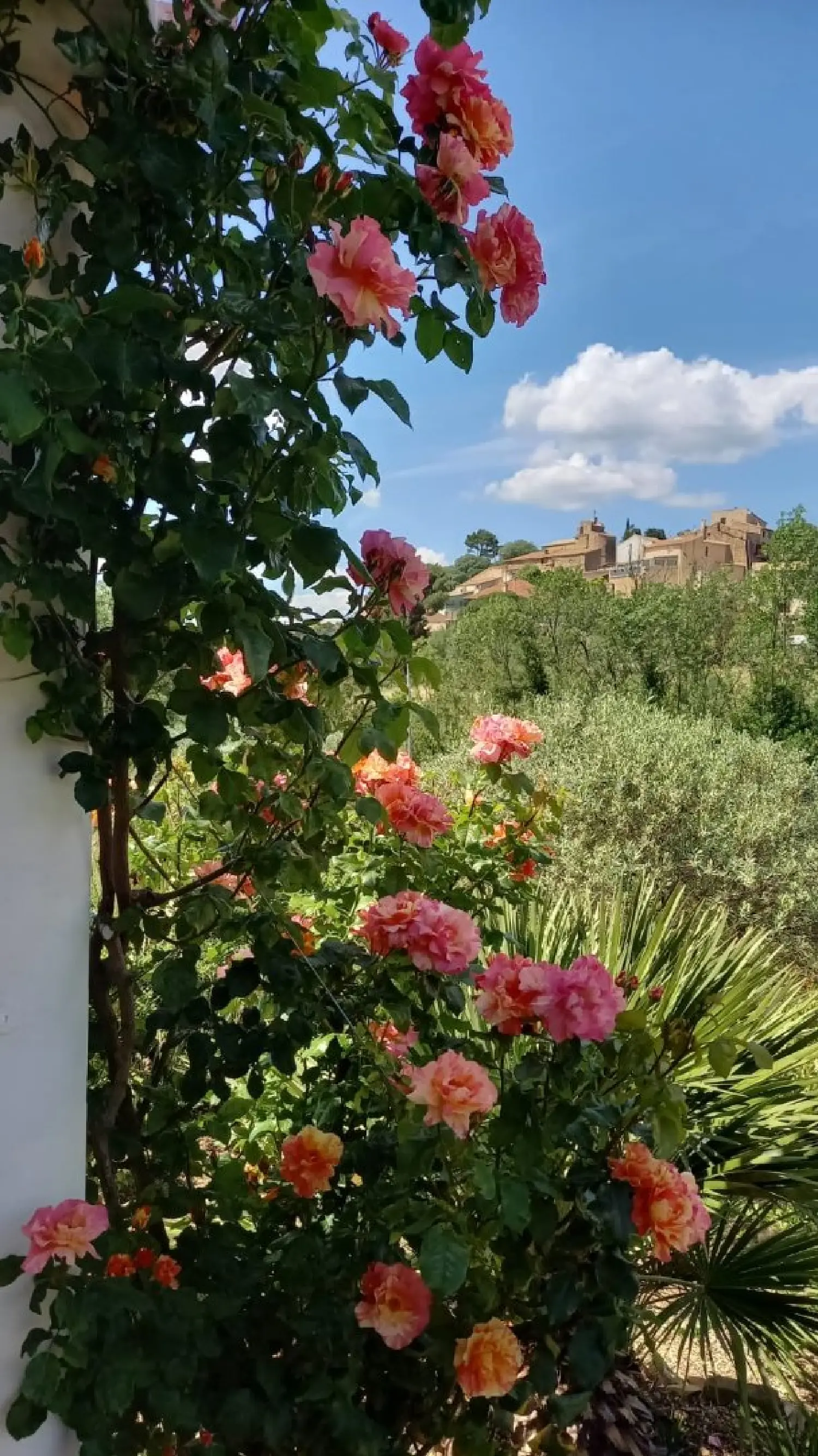  for sale house Roujan Hérault 4