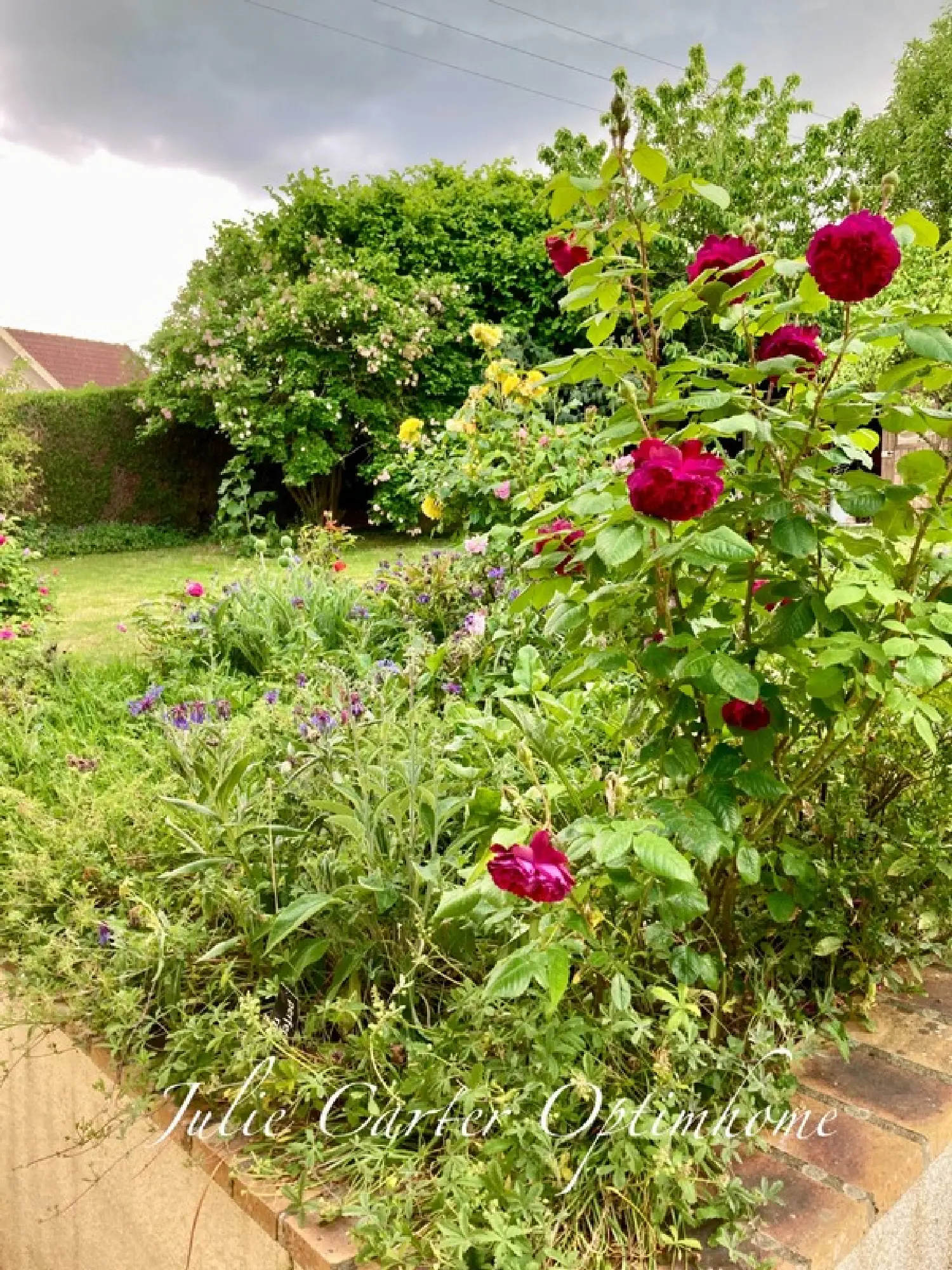  en venta casa Sablé-sur-Sarthe Sarthe 7