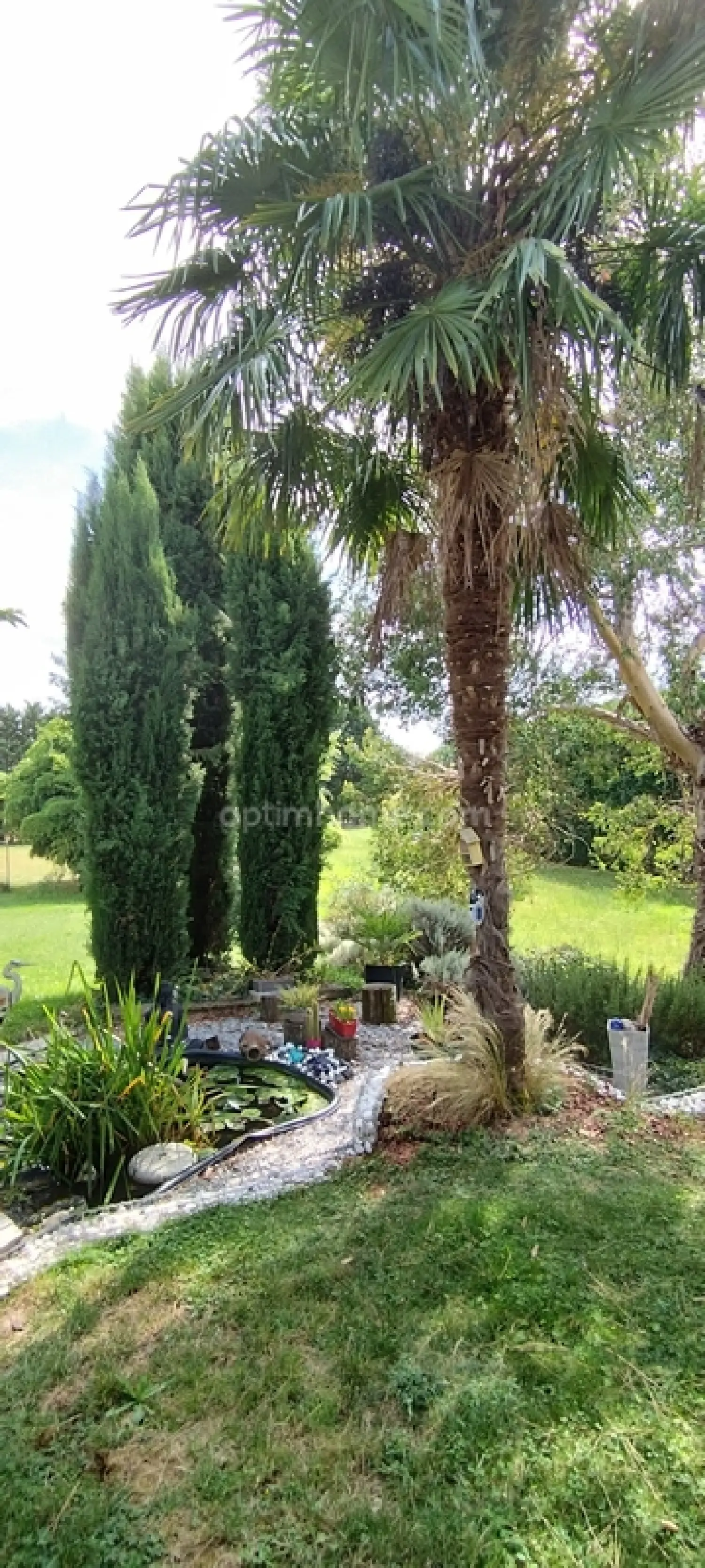  à vendre maison Saint-Amant-de-Bonnieure Charente 3