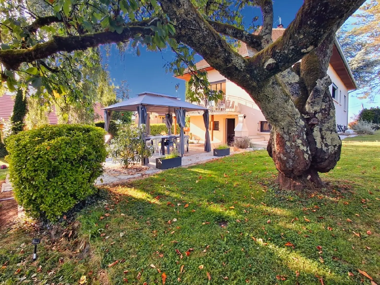  à vendre maison Saint-Amour Jura 1