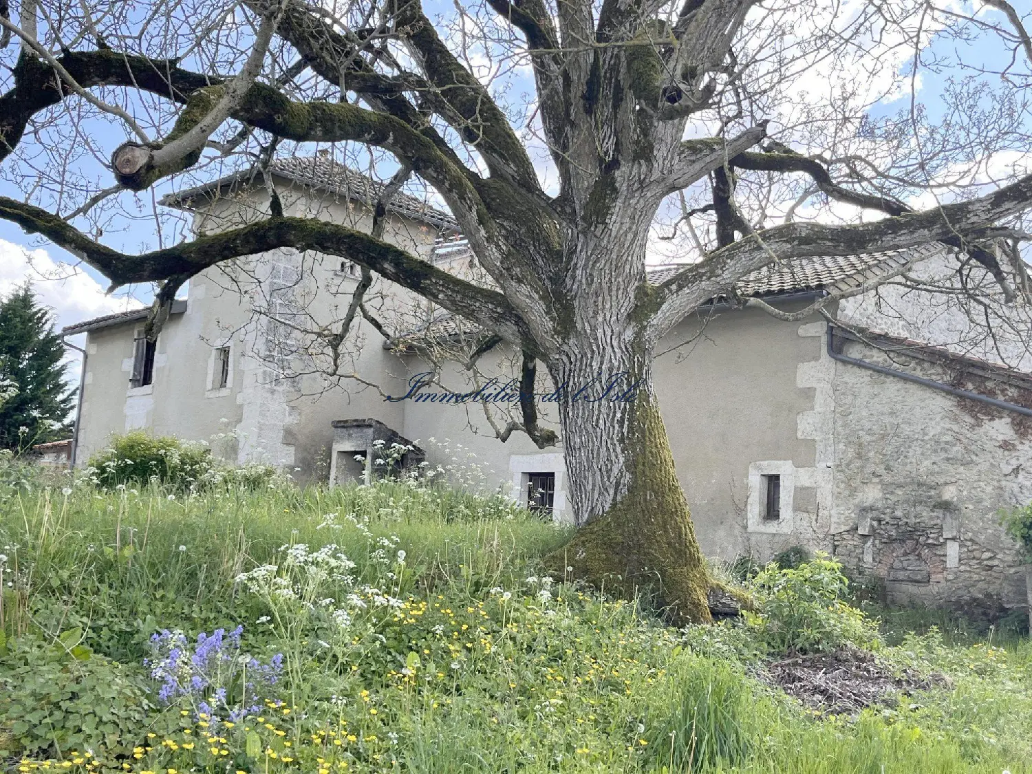  en venta casa Saint-Félix-de-Bourdeilles Dordoña 1