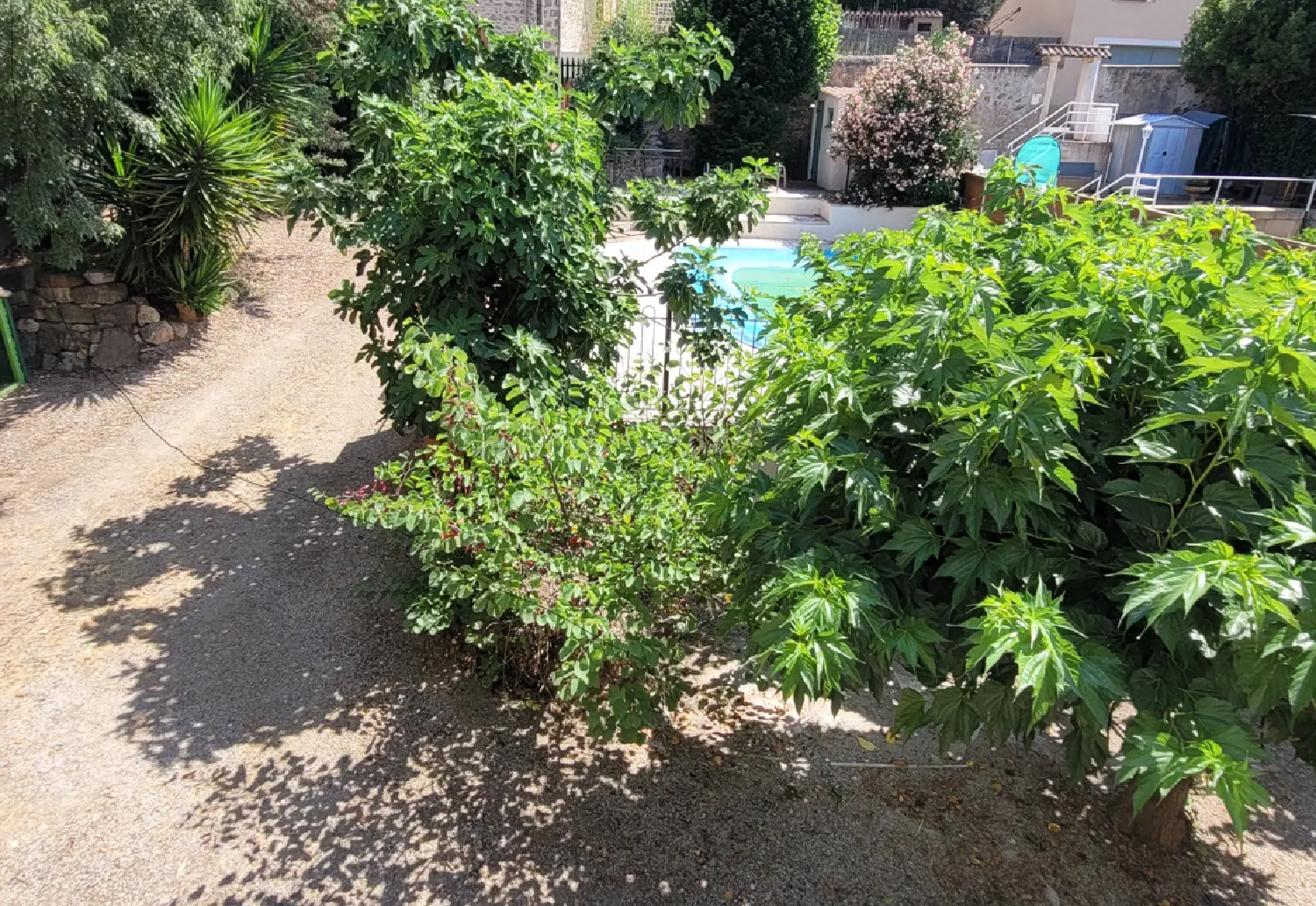  te koop huis Saint-Geniès-de-Fontedit Hérault 5