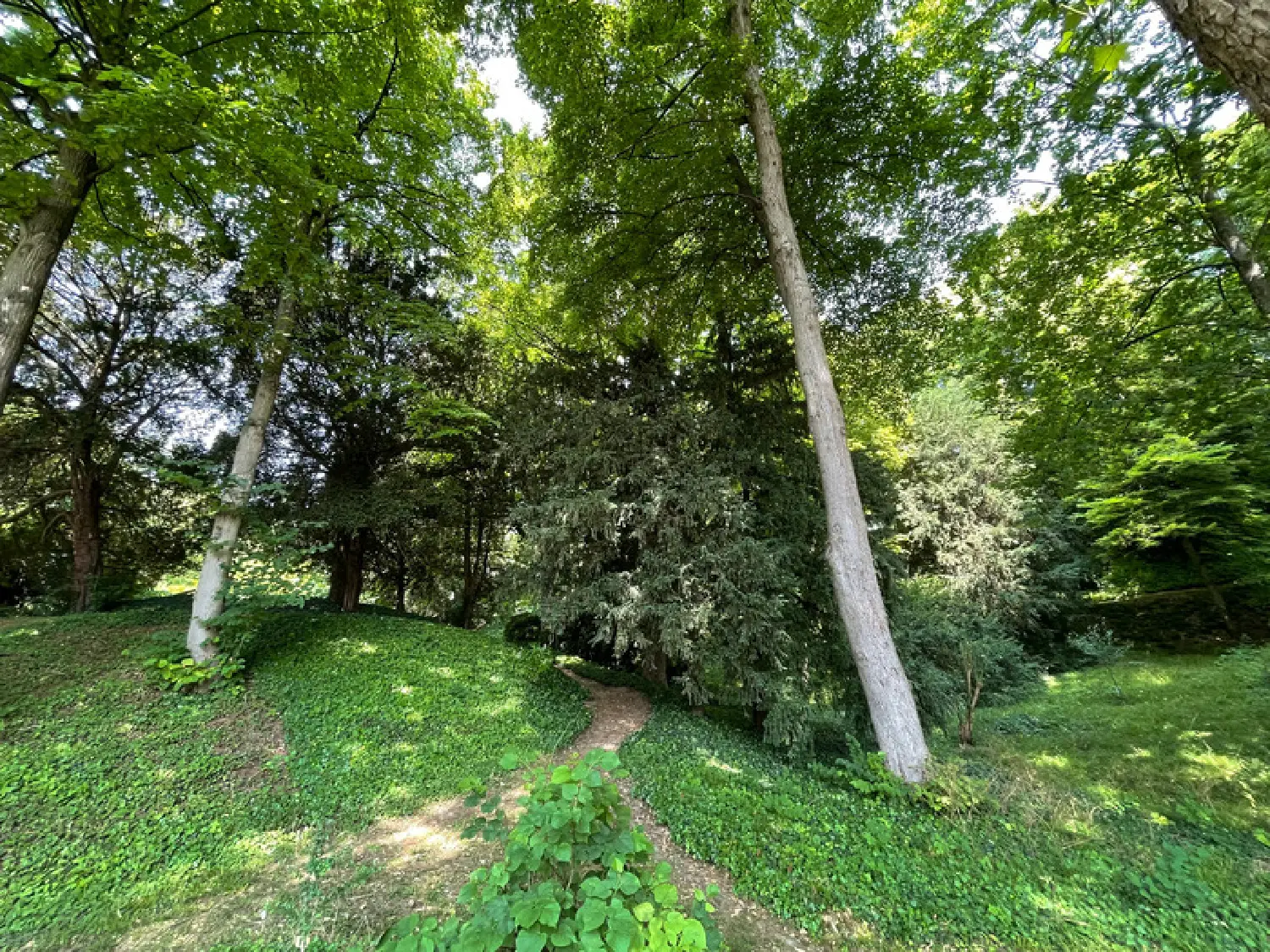  for sale house Saint-Germain-en-Laye Yvelines 1