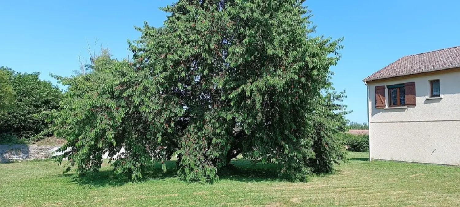  en venta casa Saint-Germain-Lembron Puy-de-Dôme 2