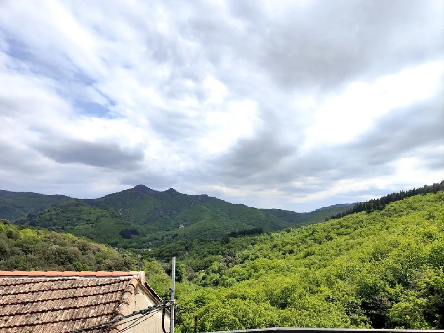  à vendre maison Saint-Gervais-sur-Mare Hérault 4