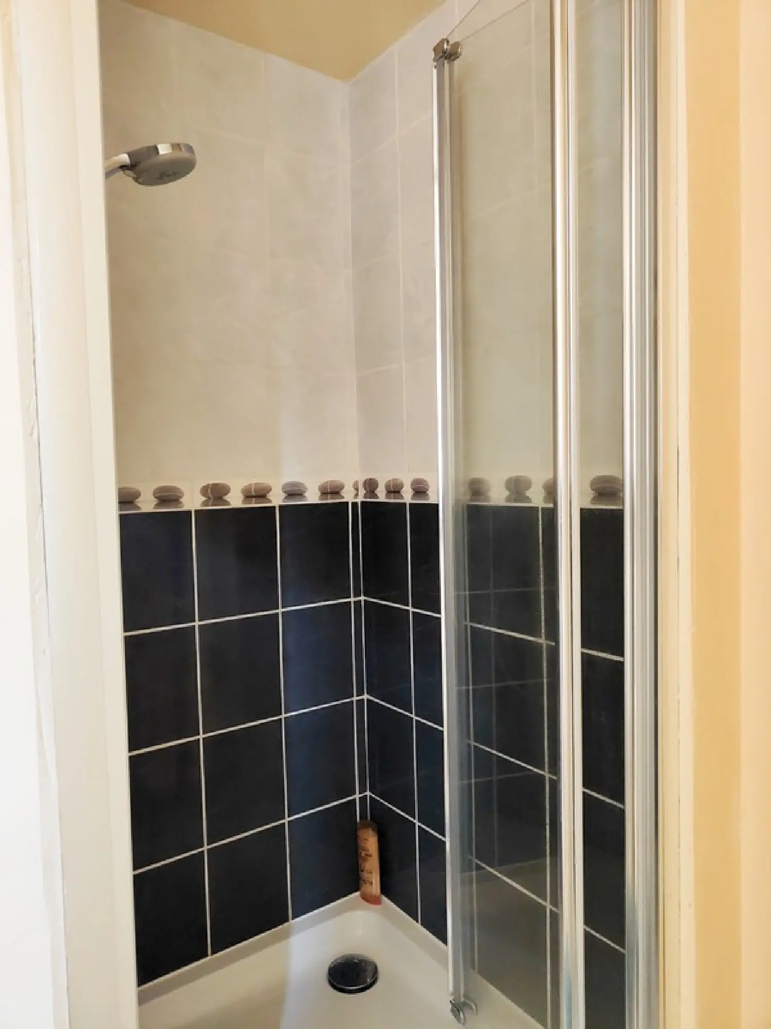  à vendre maison Saint-Gervais-sur-Mare Hérault 8