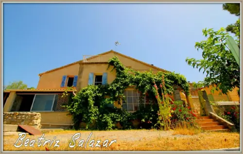Saint-Julien-d'Asse Alpes-de-Haute-Provence Haus Bild 7106048