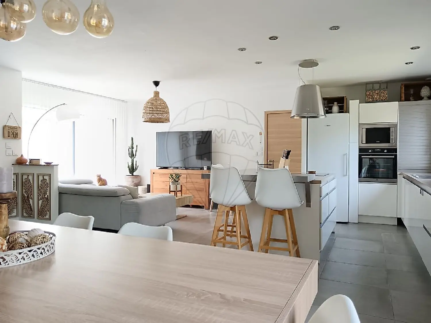  te koop huis Saint-Julien Rhône 1