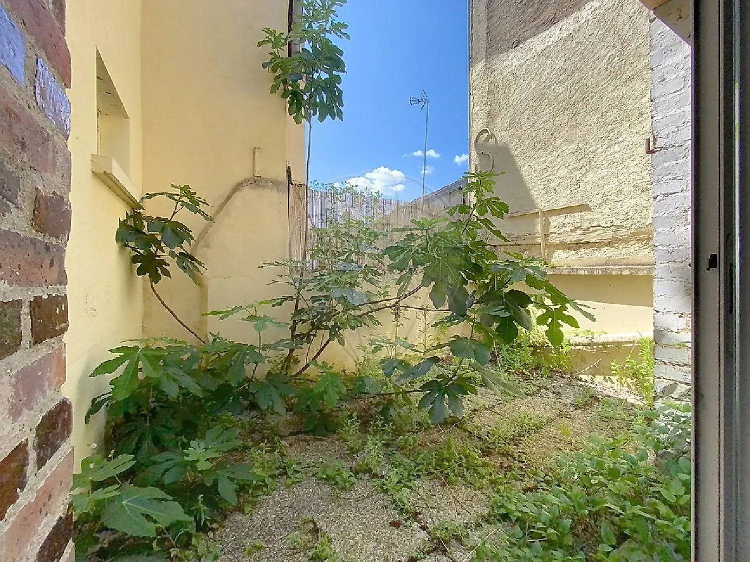  for sale house Saint-Julien-du-Sault Yonne 6