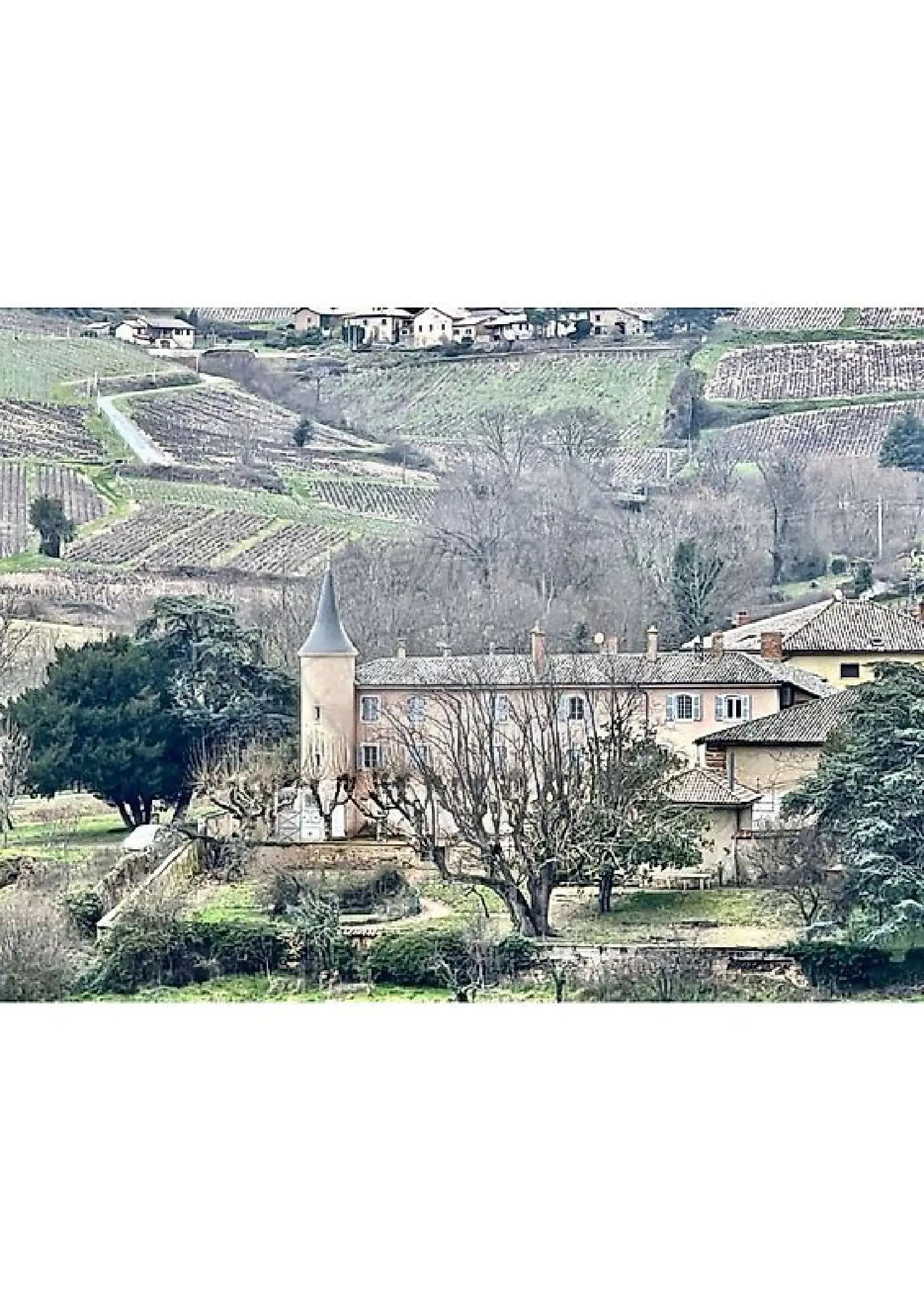  en venta casa Saint-Lager Rhône 1