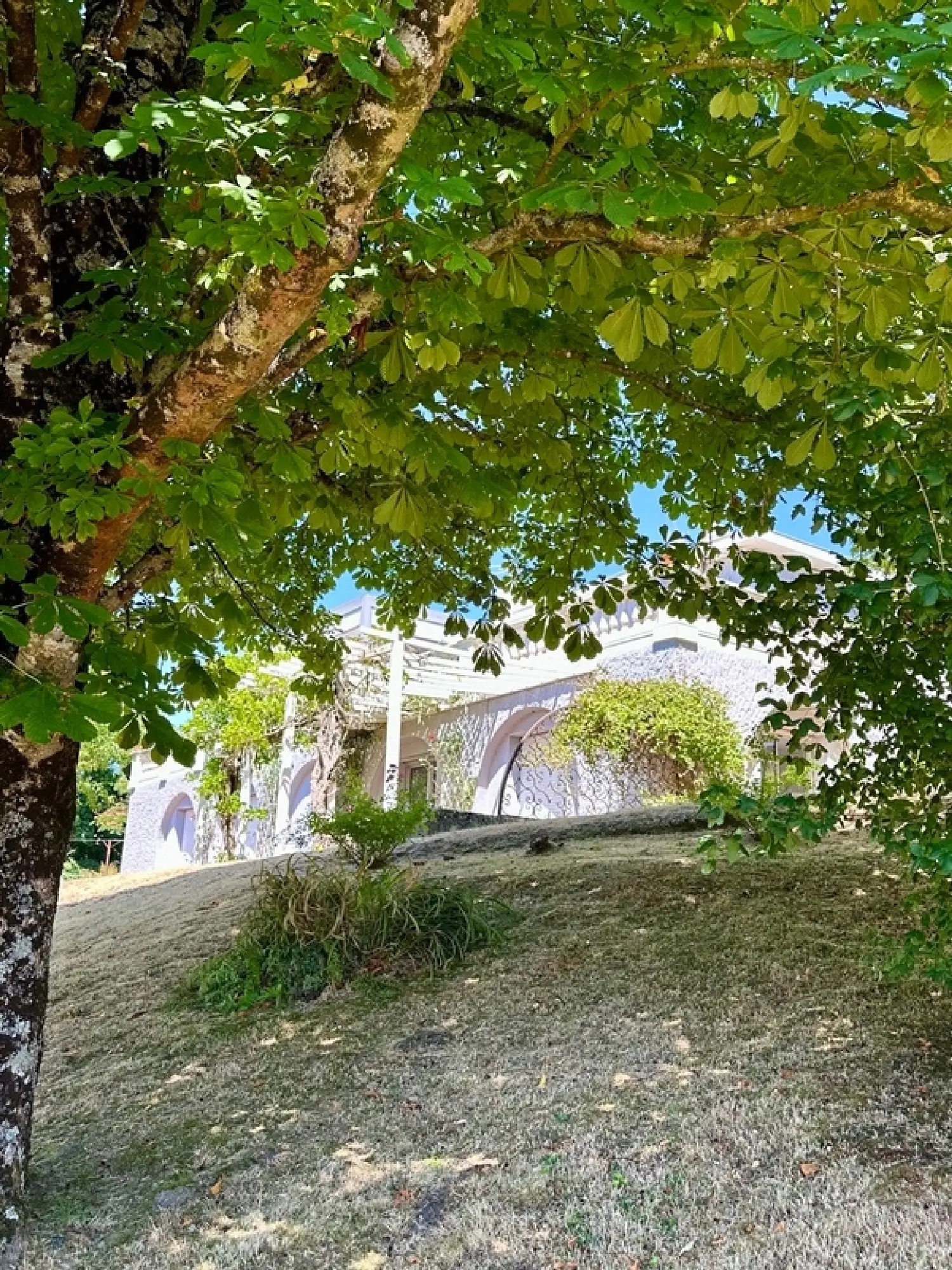  en venta casa Saint-Laurent-sur-Sèvre Vendée 3