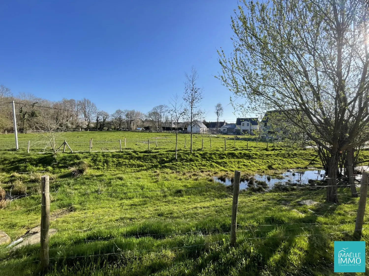  kaufen Haus Saint-Lunaire Ille-et-Vilaine 4