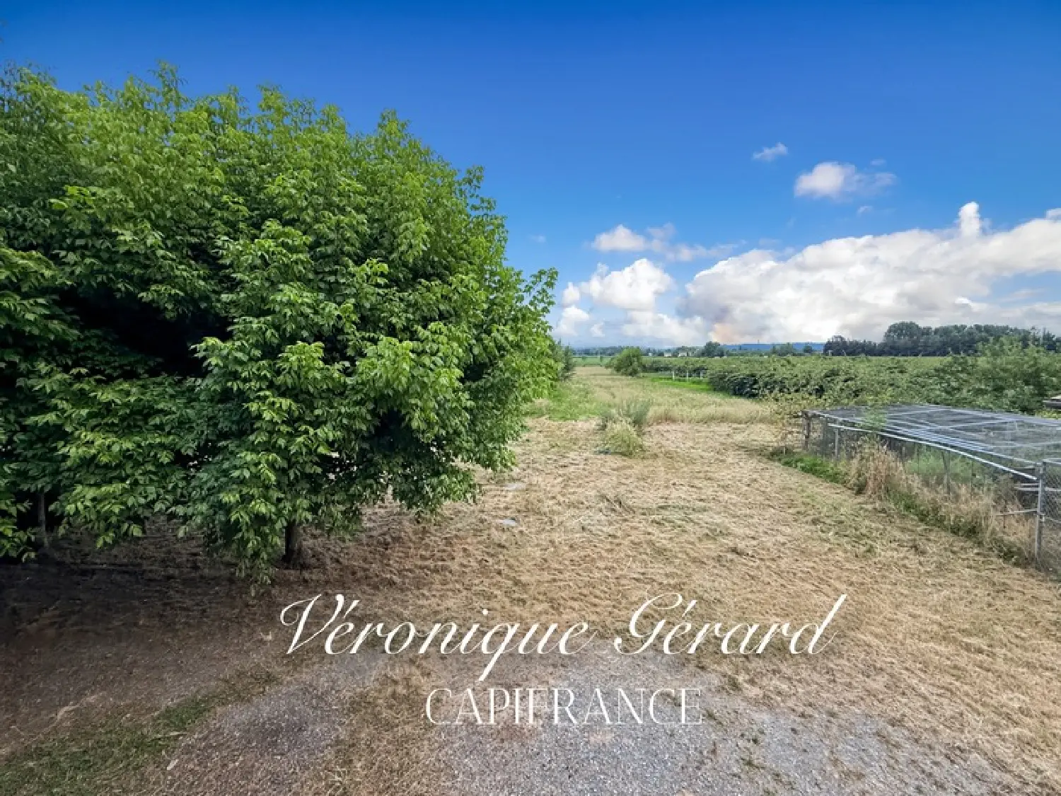  à vendre maison Saint-Pey-de-Castets Gironde 3