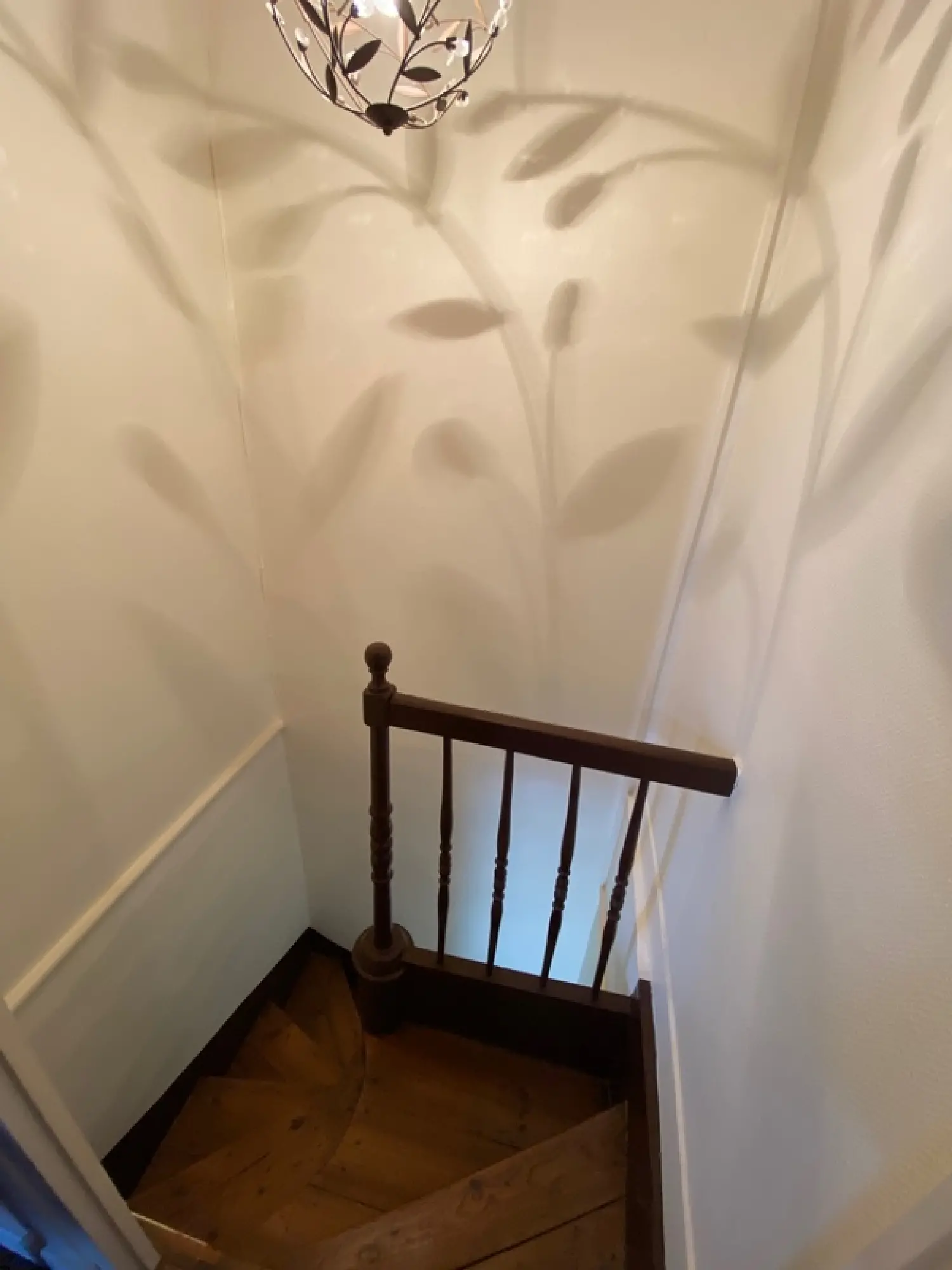  à vendre maison Saint-Pierre-du-Mont Landes 8