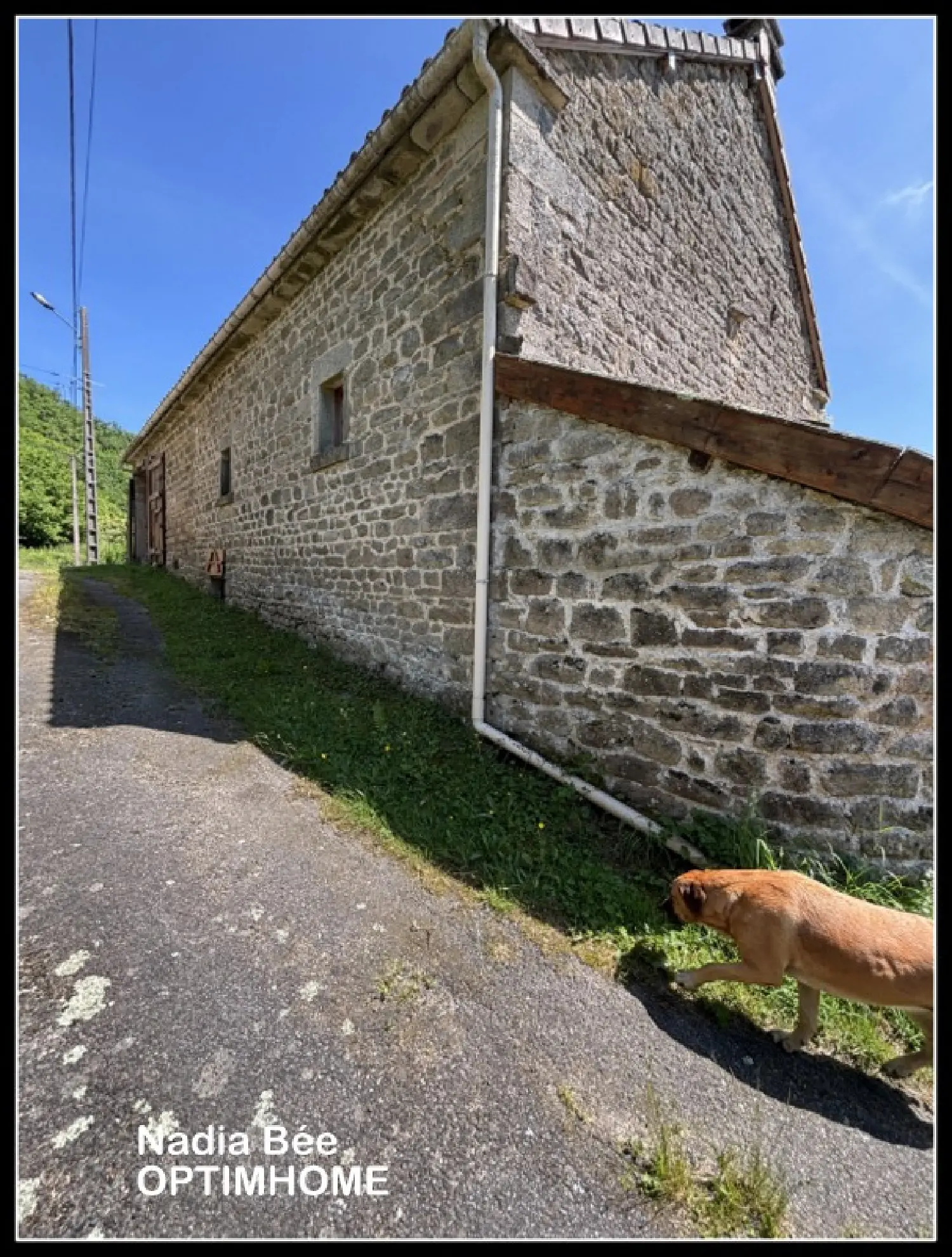  te koop huis Saint-Priest-Palus Creuse 2