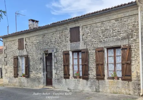 Saint-Savinien Charente-Maritime Haus Bild 7113031