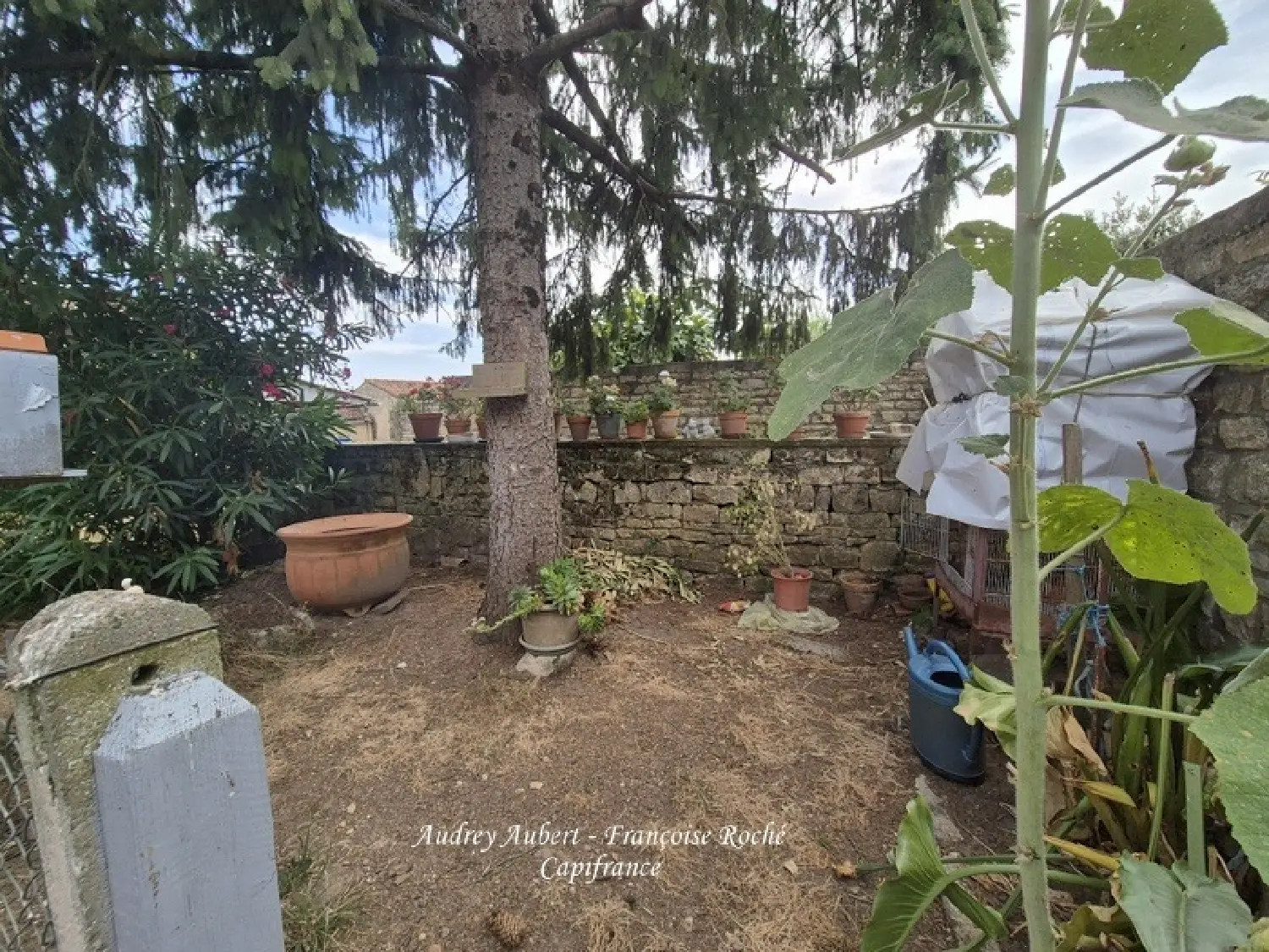  kaufen Haus Saint-Savinien Charente-Maritime 3