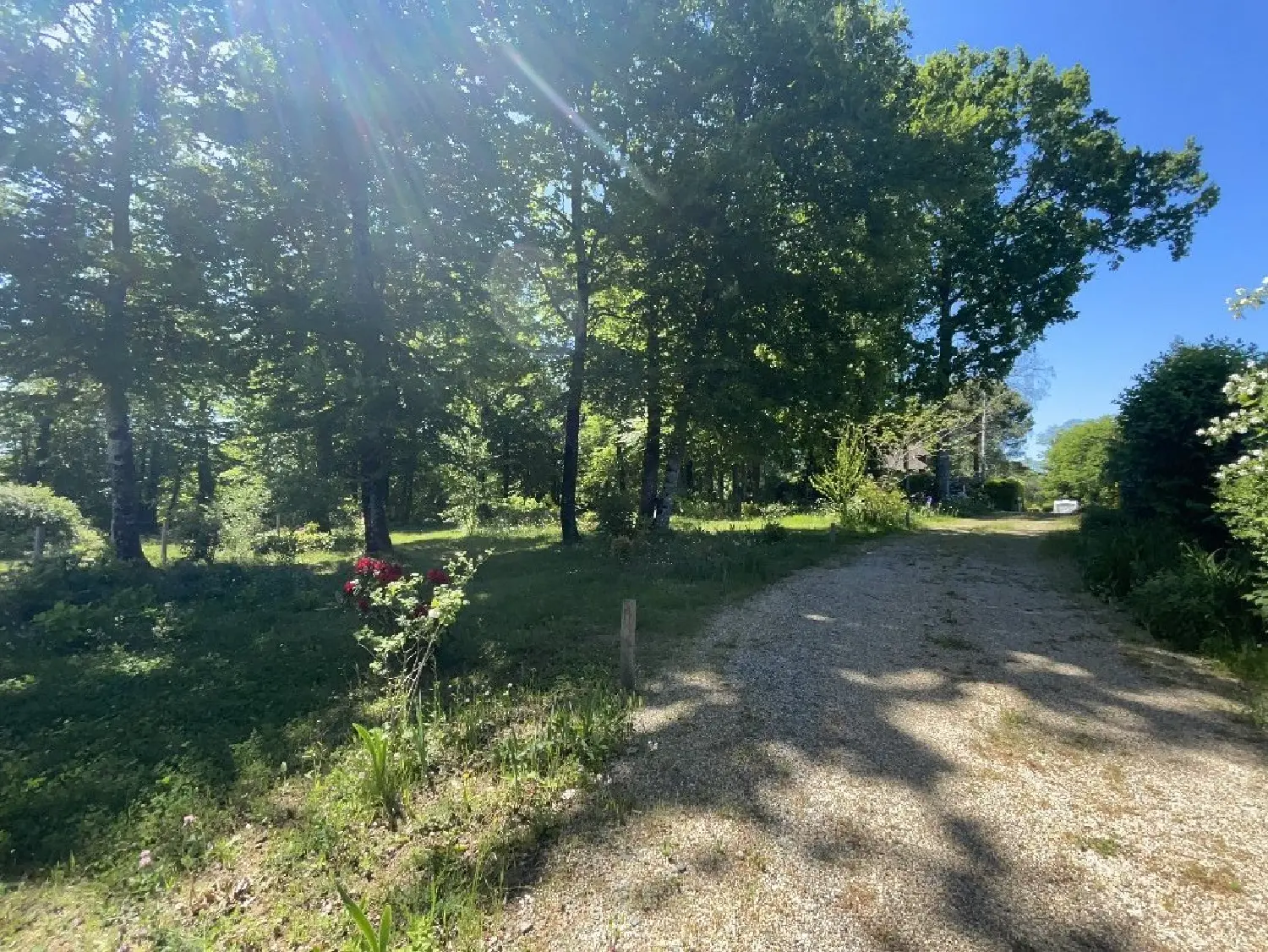  à vendre maison Saint-Sornin-Lavolps Corrèze 3