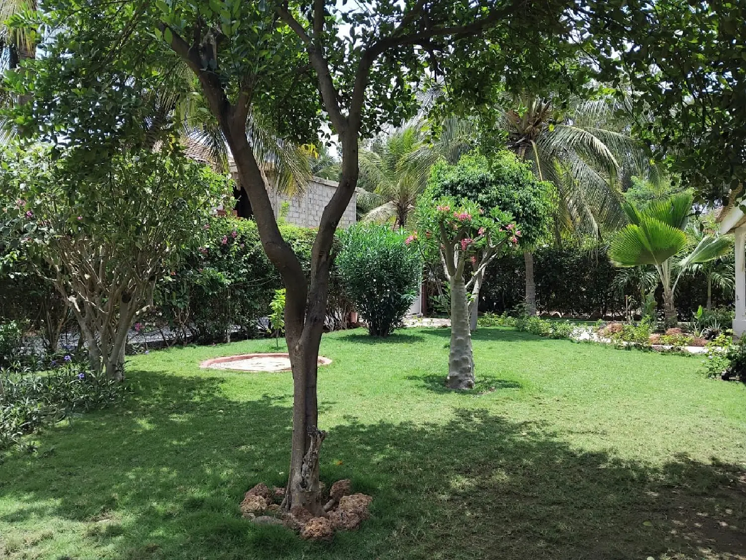  te koop huis Saint-Sulpice-le-Guérétois Creuse 5