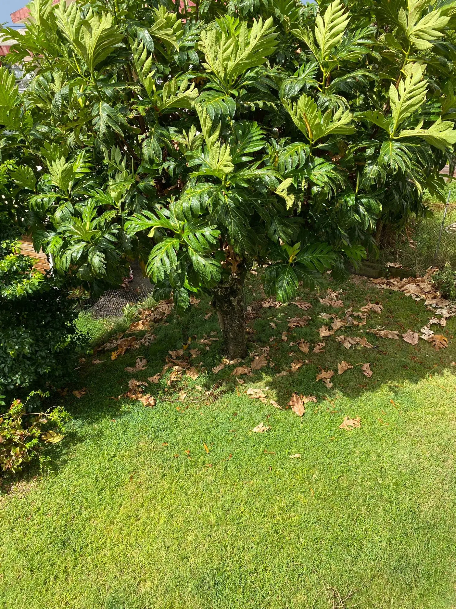  en venta casa Sainte-Luce Isère 3