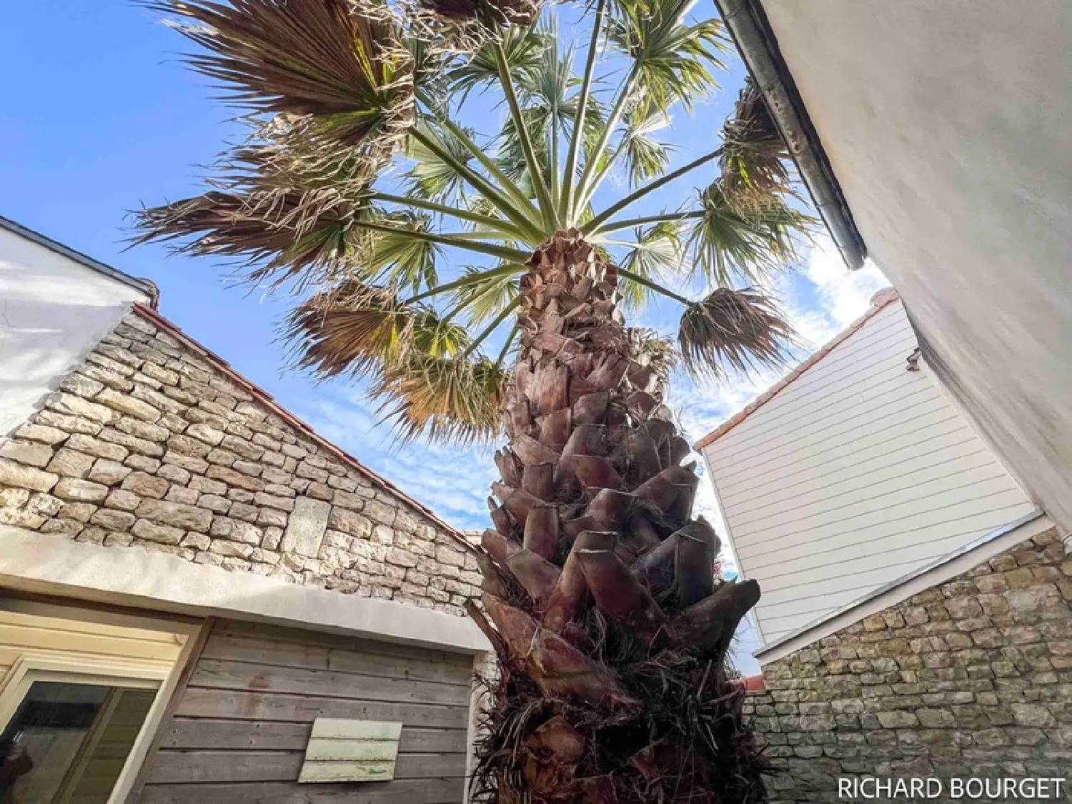  en venta casa Sainte-Marie-de-Ré Charente-Maritime 6