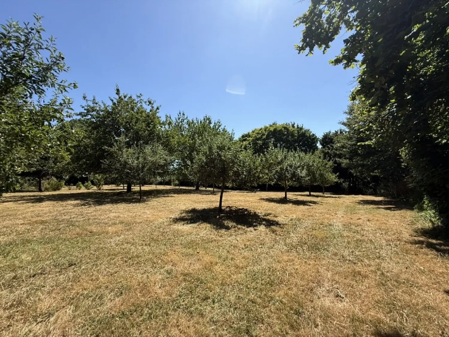 en venta casa Sainte-Soline Deux-Sèvres 5