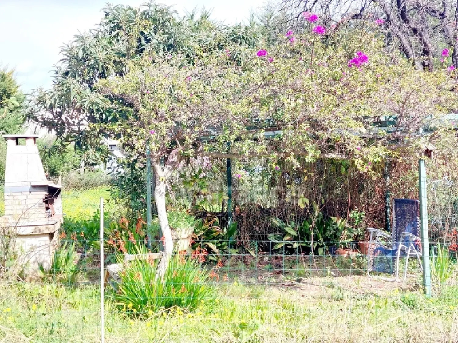  à vendre maison San-Nicolao Haute-Corse 3
