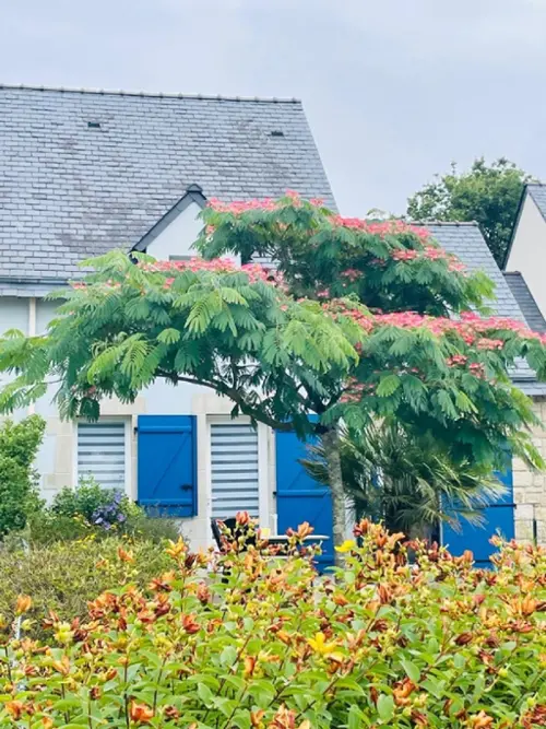 Sarzeau Morbihan casa foto 7108929