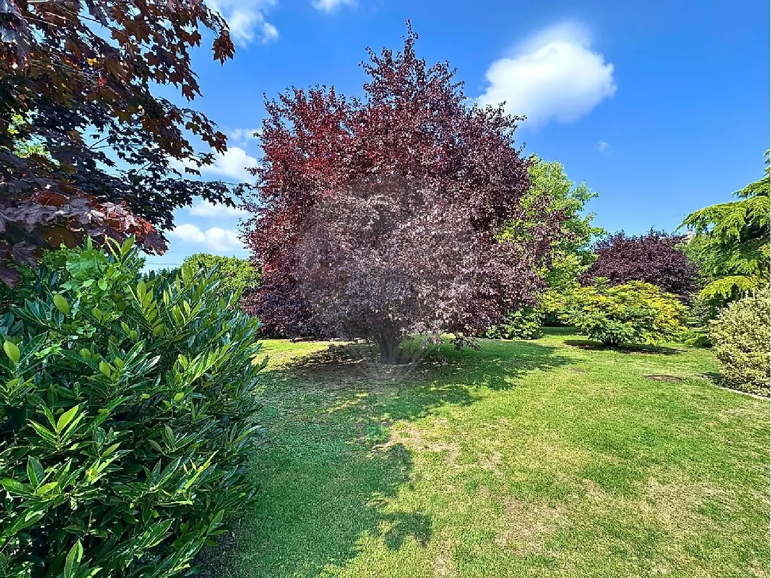  for sale house Senlis Oise 5