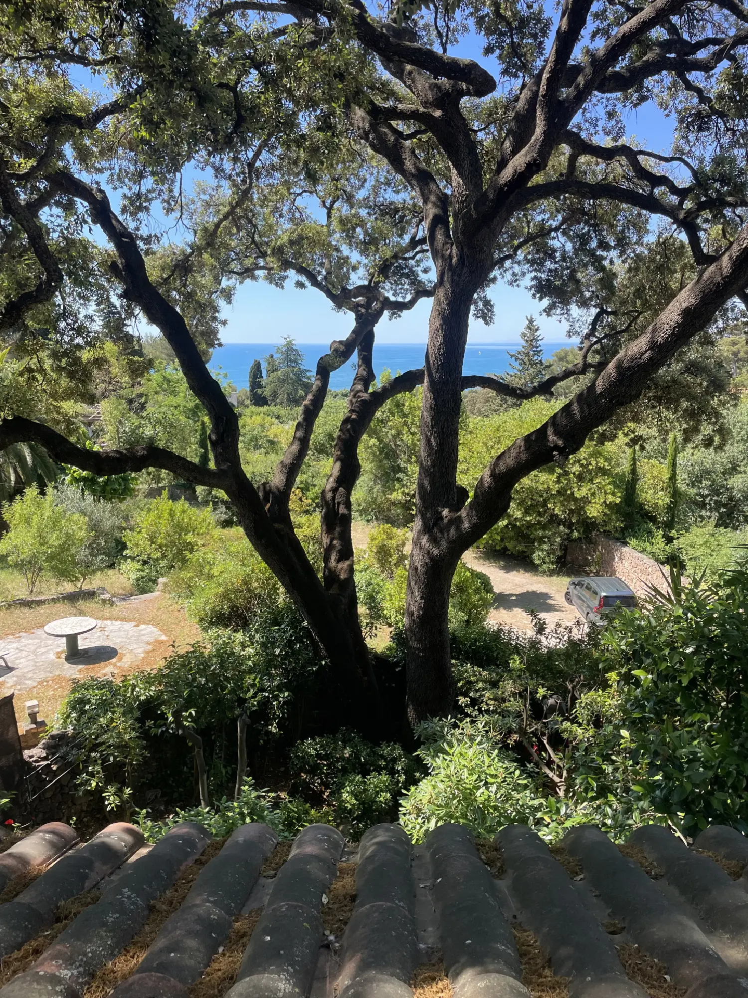  te koop huis Sète Hérault 1