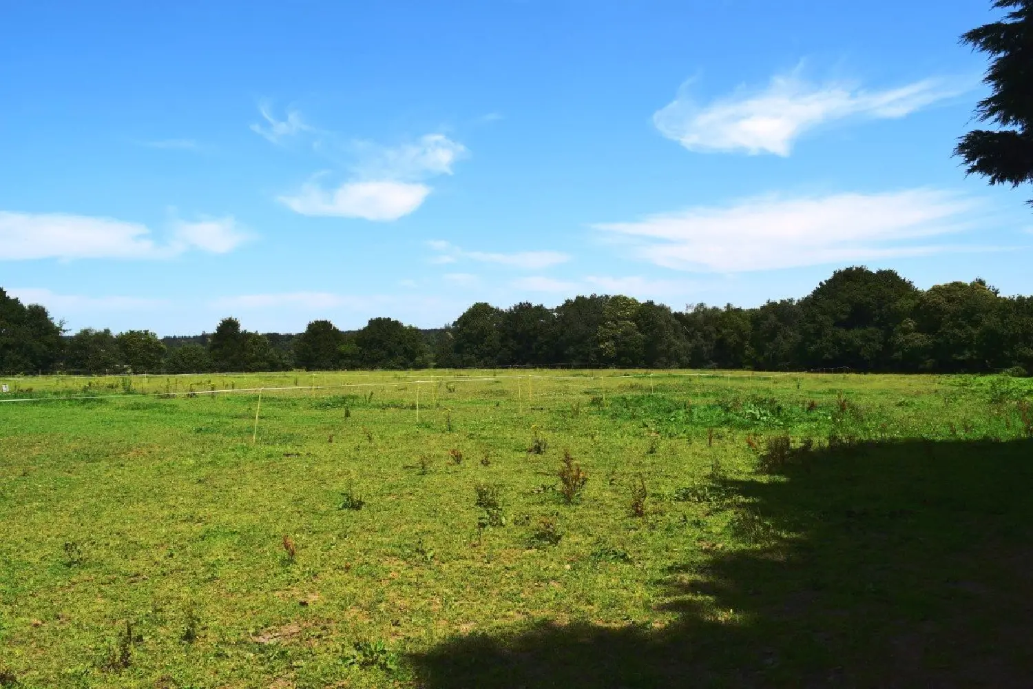  for sale house Silfiac Morbihan 4