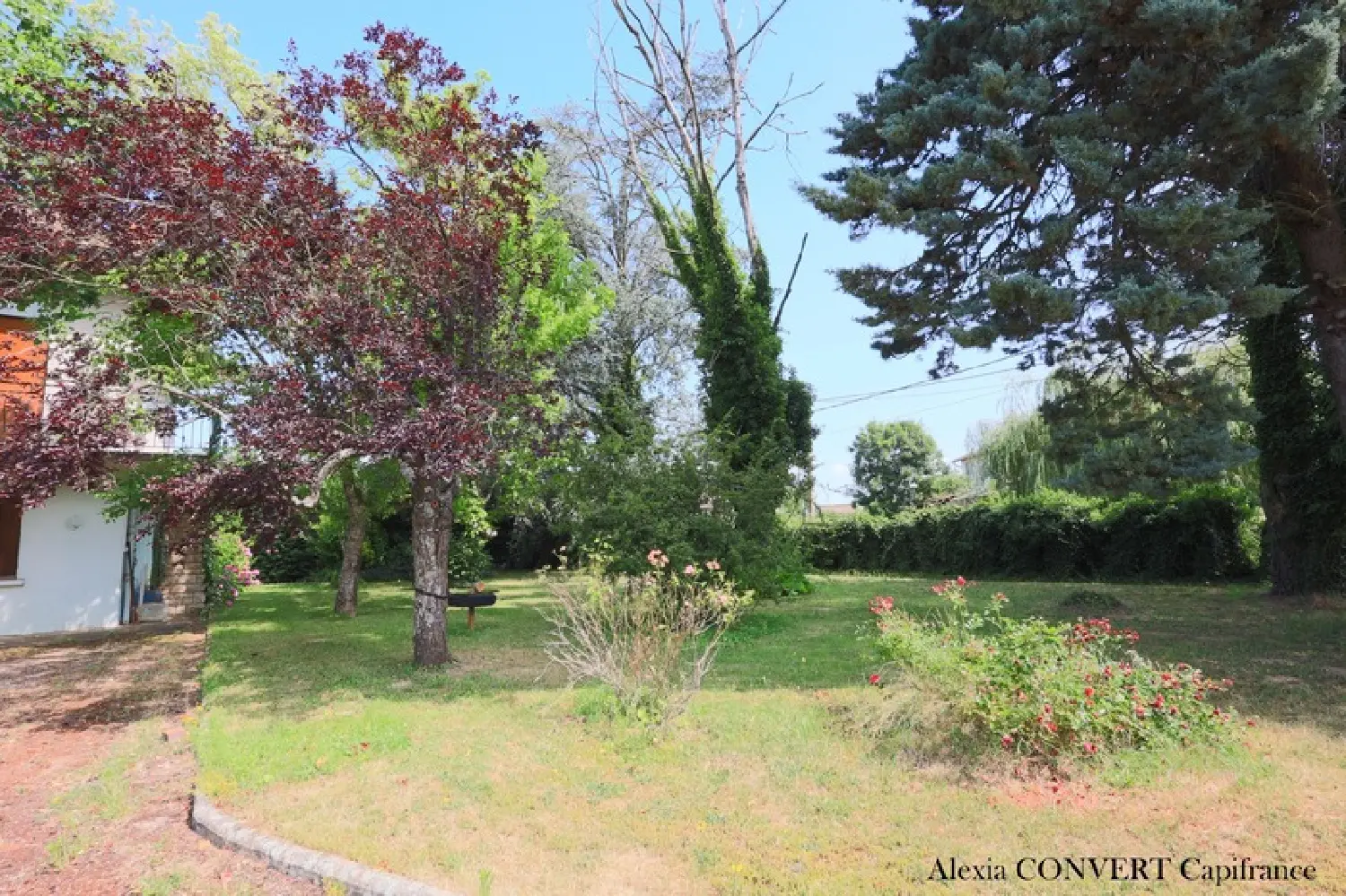  à vendre maison Sulignat Ain 2