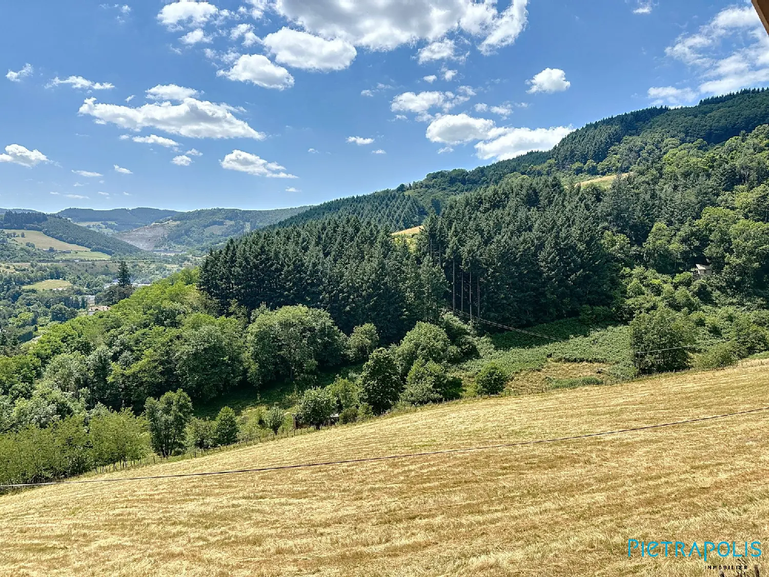  kaufen Haus Tarare Rhône 7