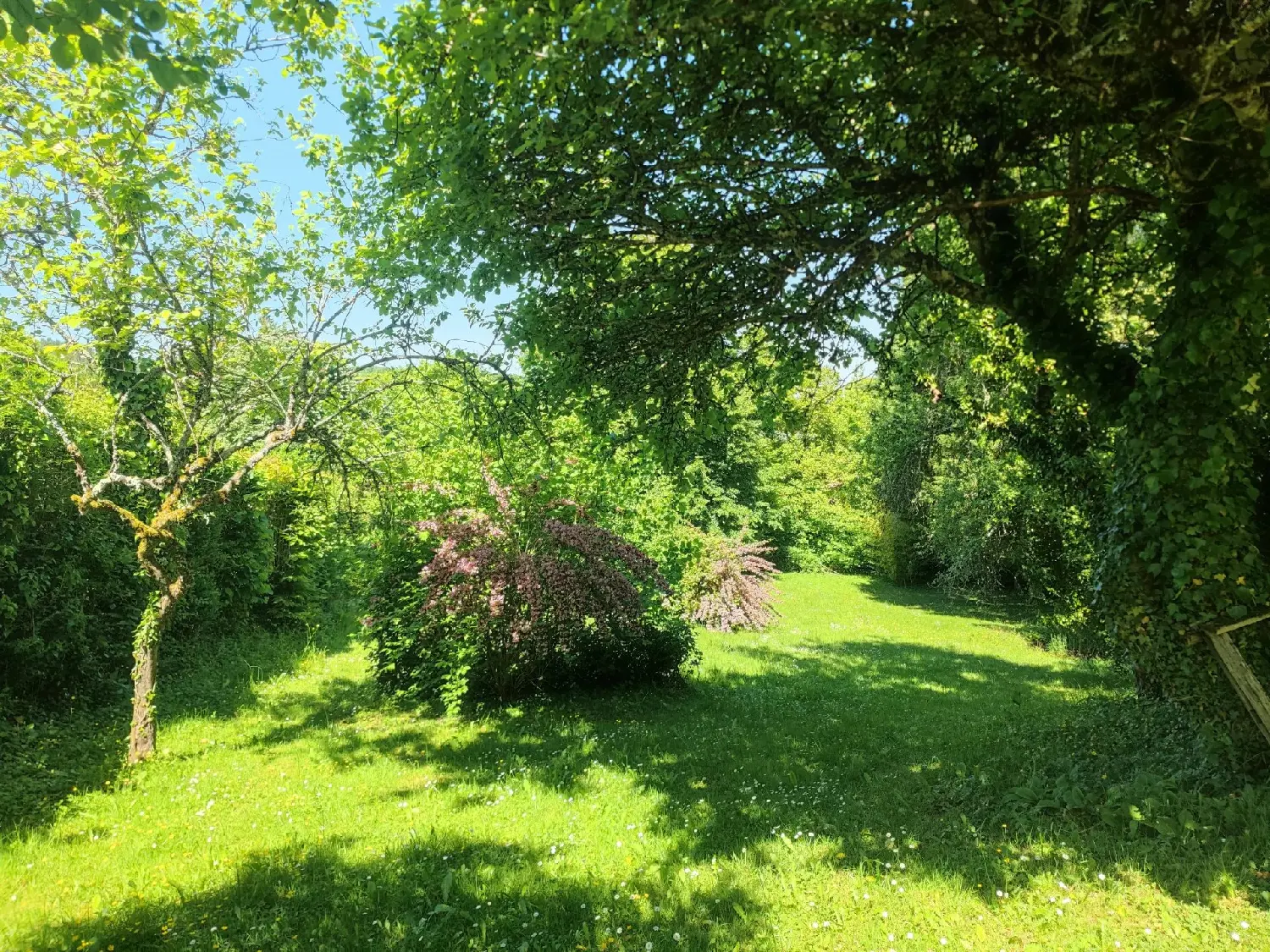  à vendre maison Tazilly Nièvre 5