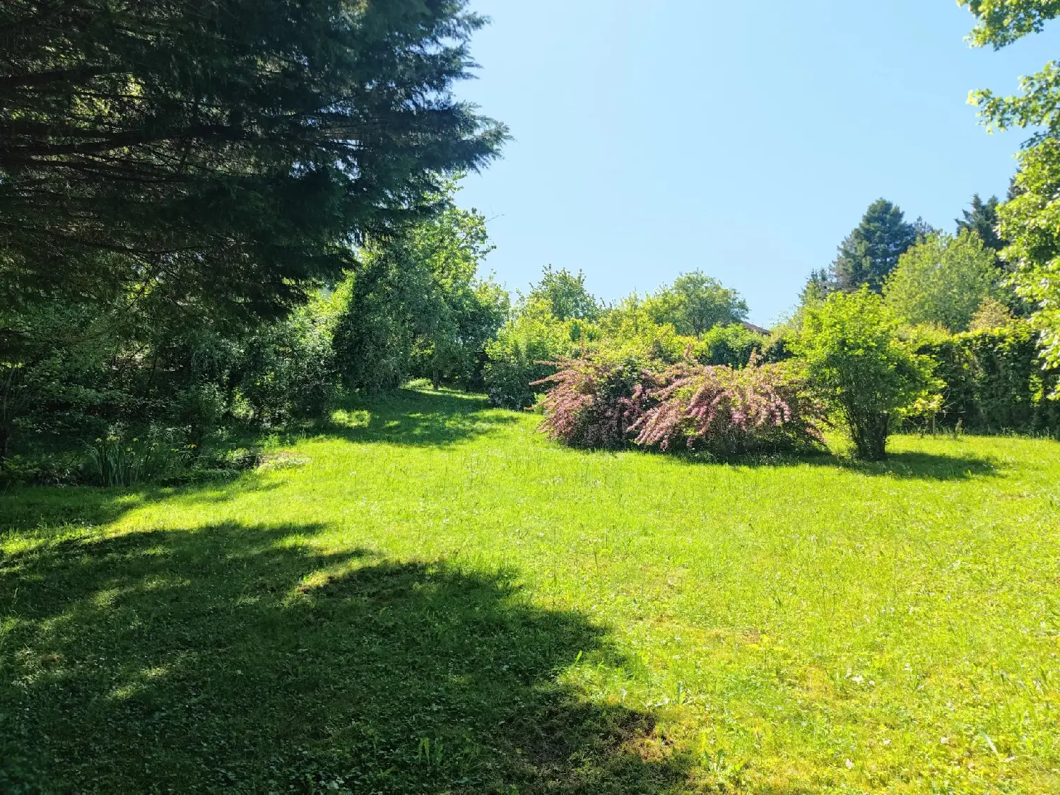  à vendre maison Tazilly Nièvre 6