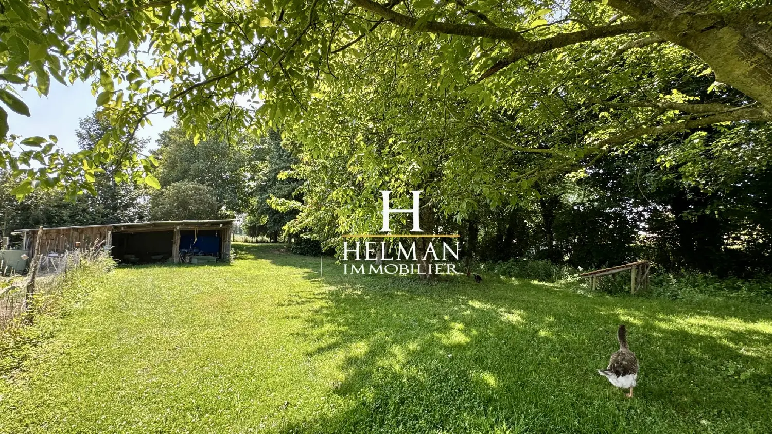  for sale house Tilques Pas-de-Calais 8