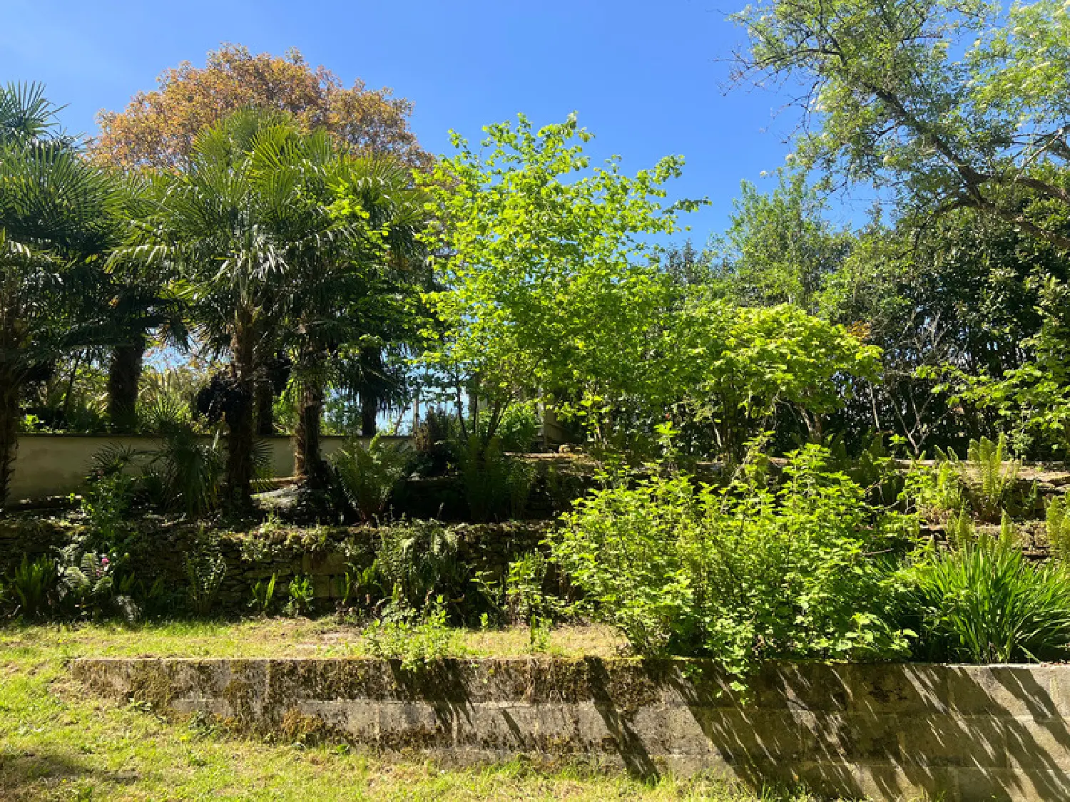  en venta casa Trigavou Côtes-d'Armor 7