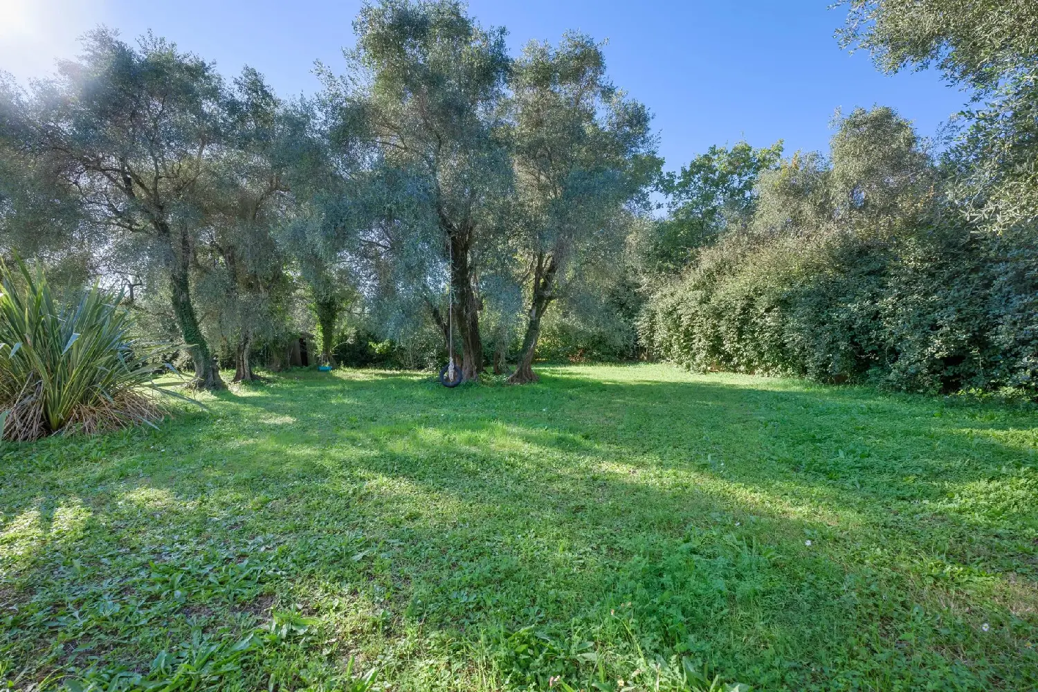  te koop huis Valbonne Alpes-Maritimes 8