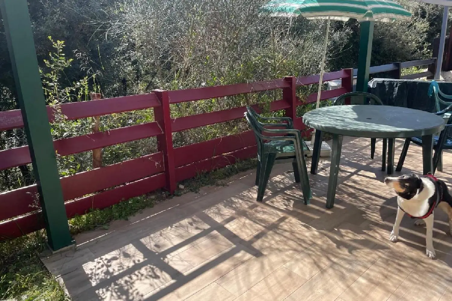  à vendre maison Vallauris Alpes-Maritimes 4