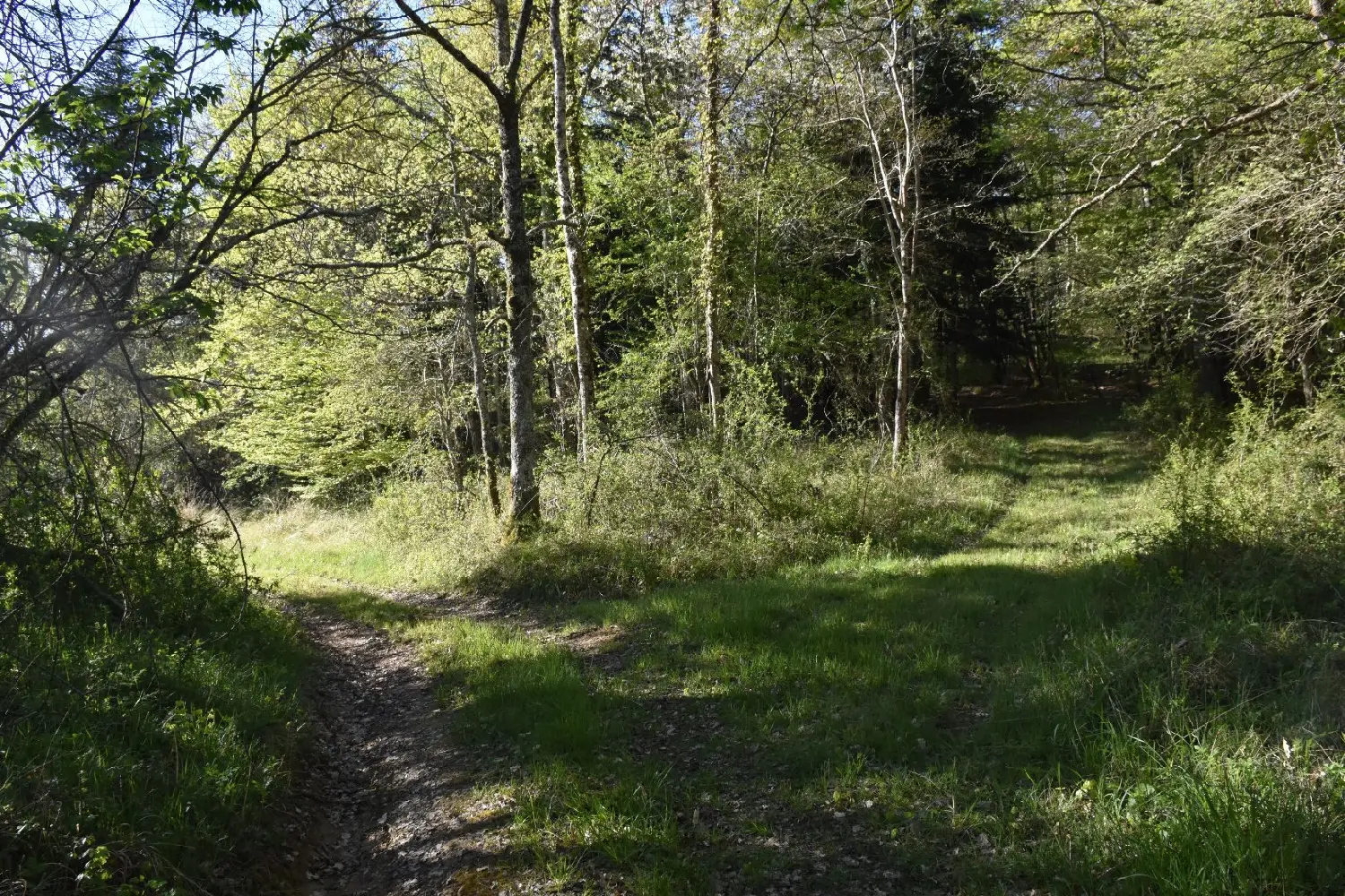  en venta casa Ventenac Ariège 7