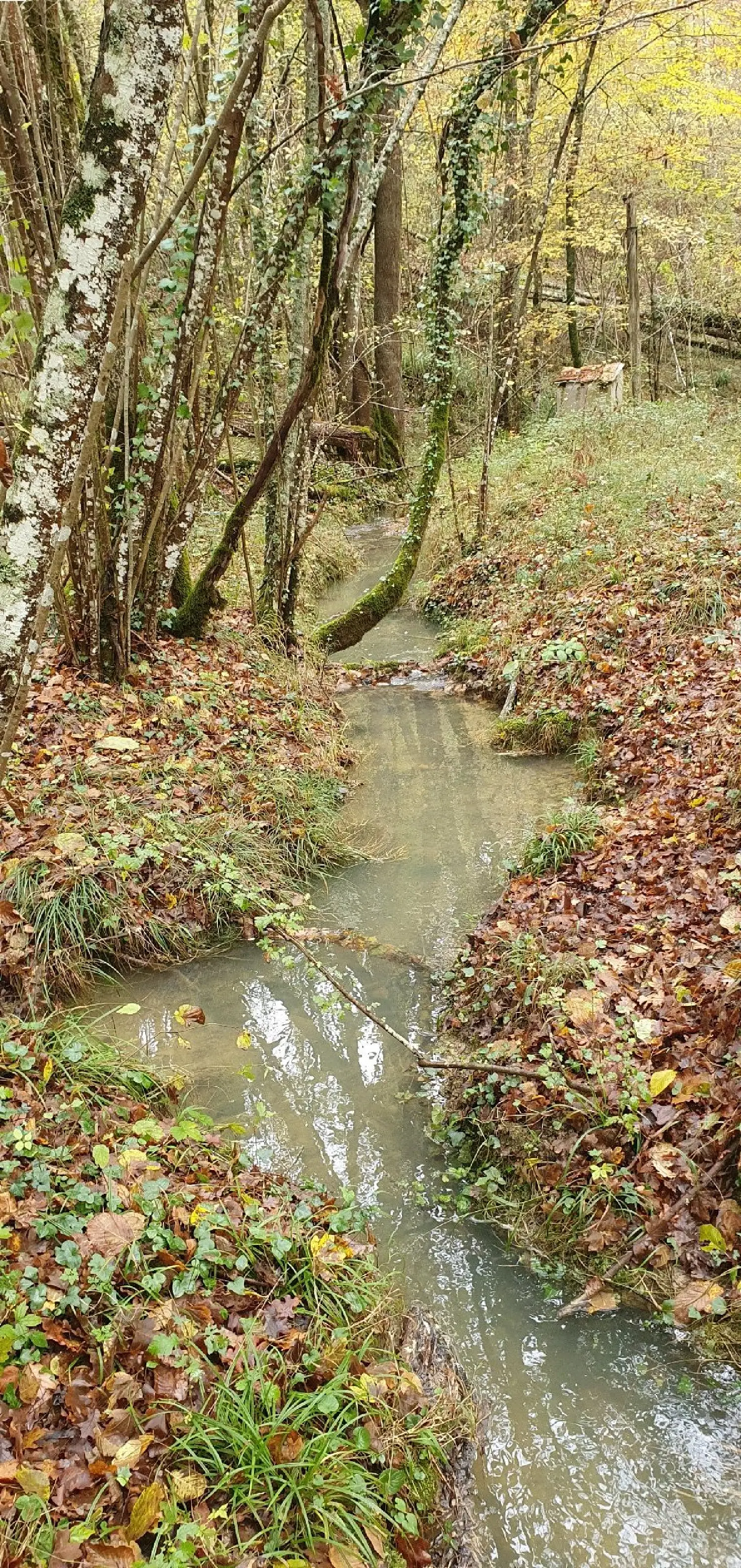  en venta casa Ventenac Ariège 8