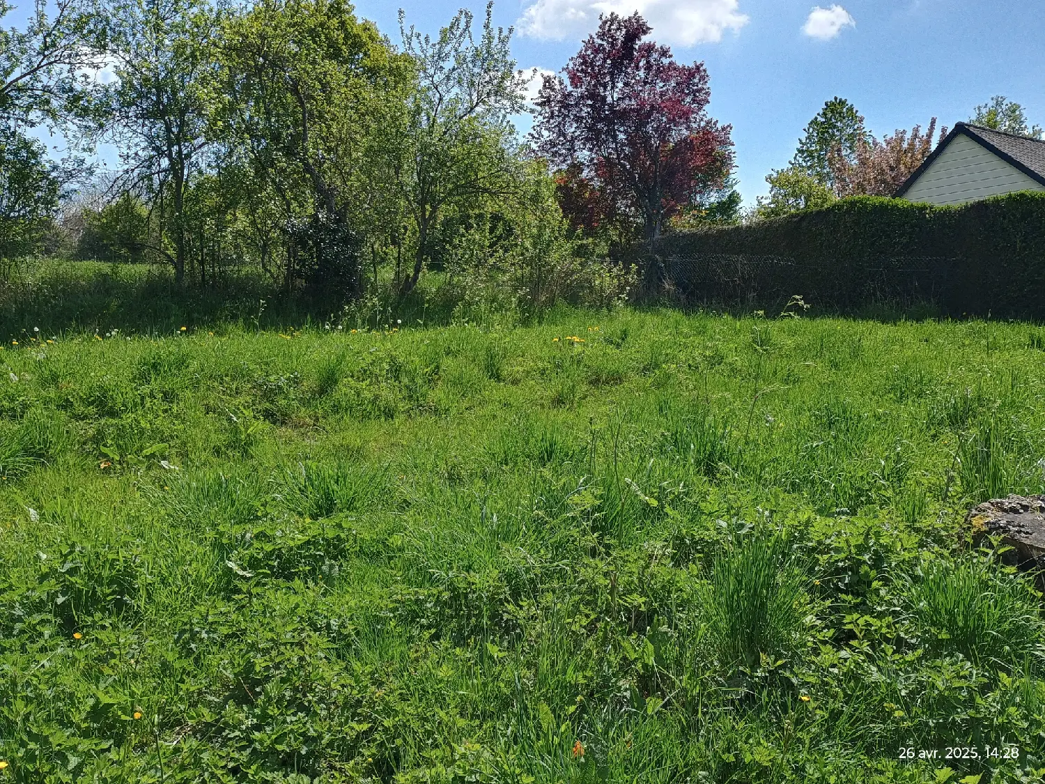  en venta casa Vervins Aisne 2