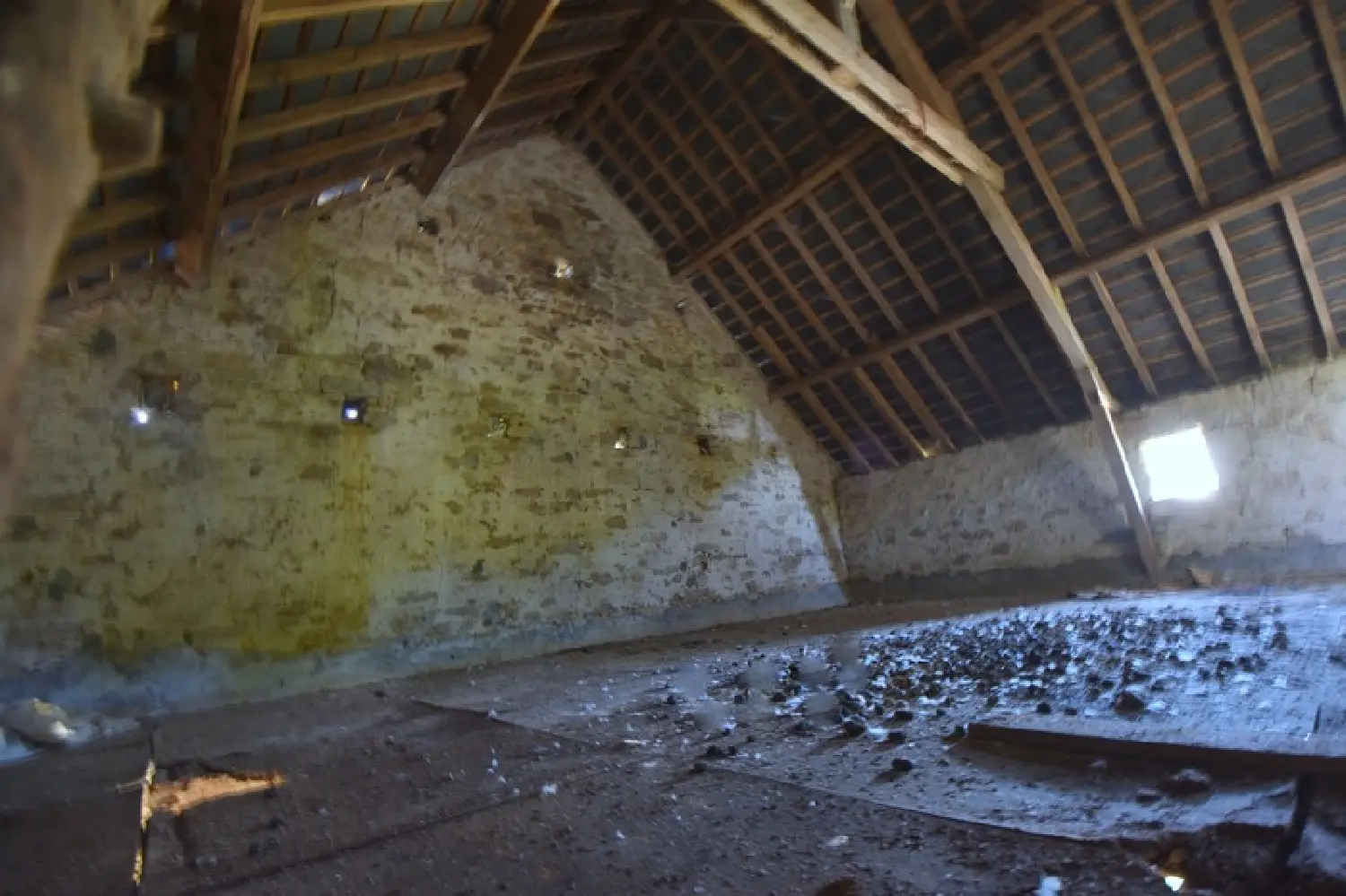  kaufen Haus Vigneux-de-Bretagne Loire-Atlantique 6