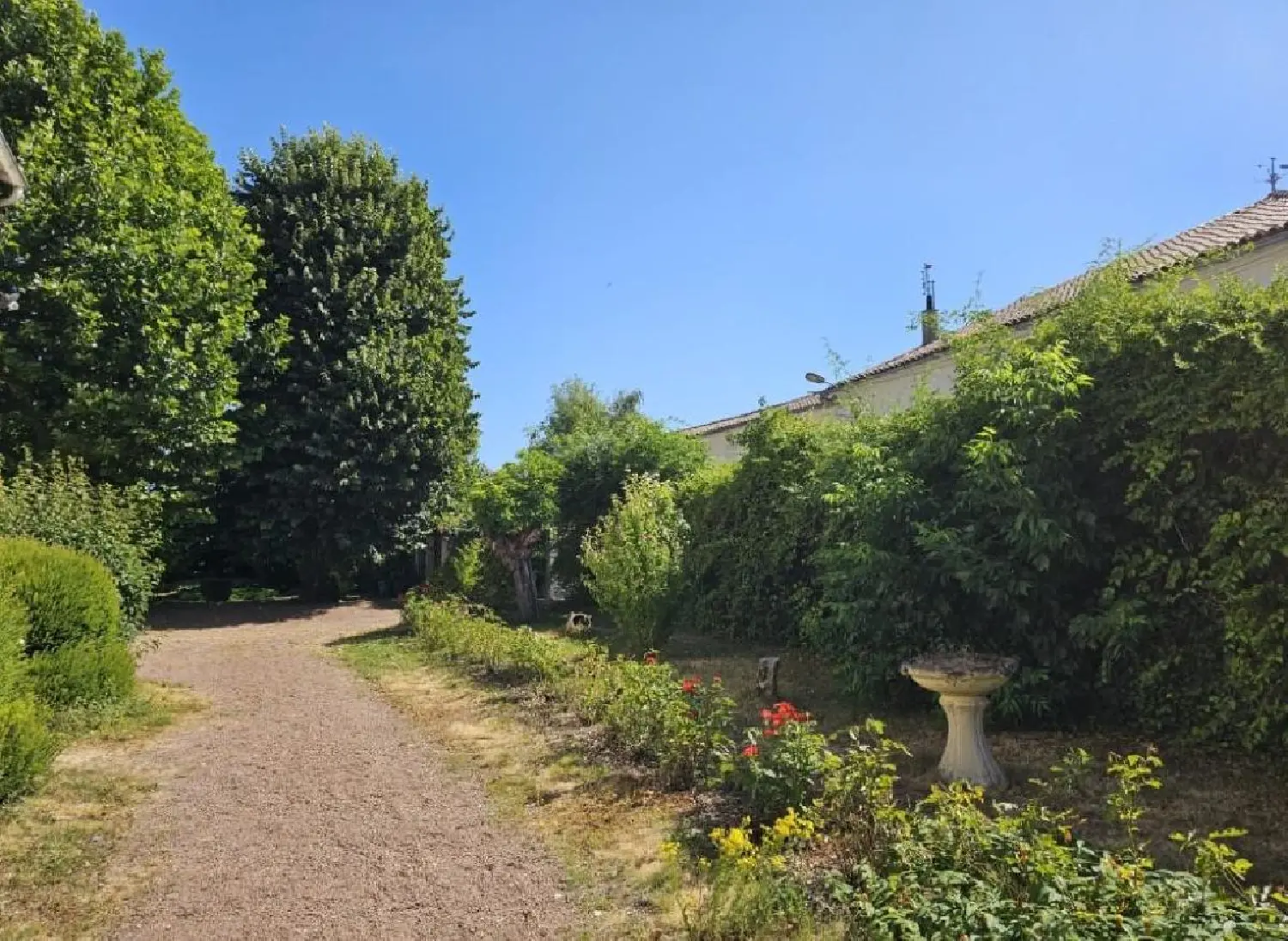  for sale house Villefagnan Charente 3
