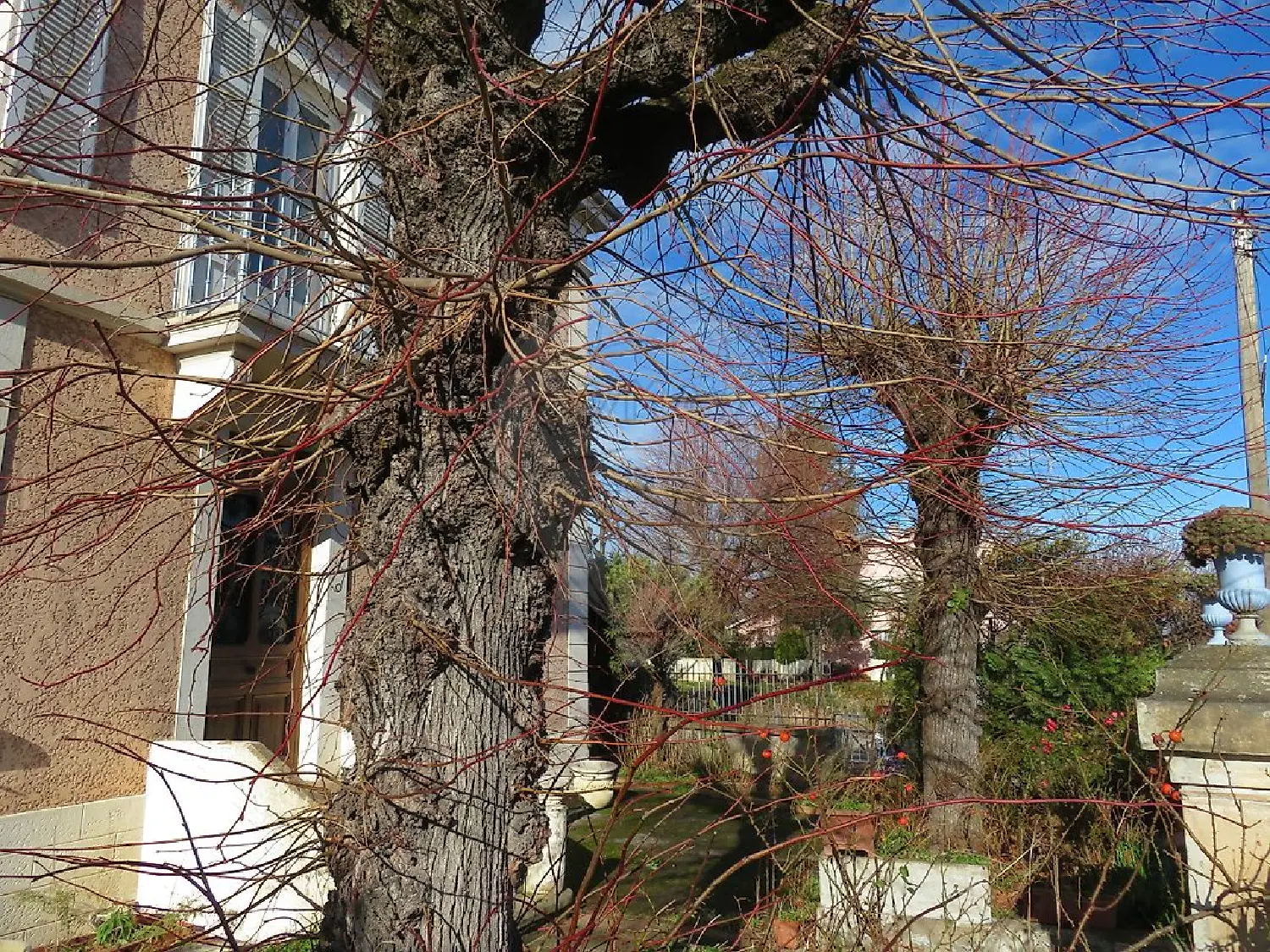  for sale house Villefranche-sur-Saône Rhône 8
