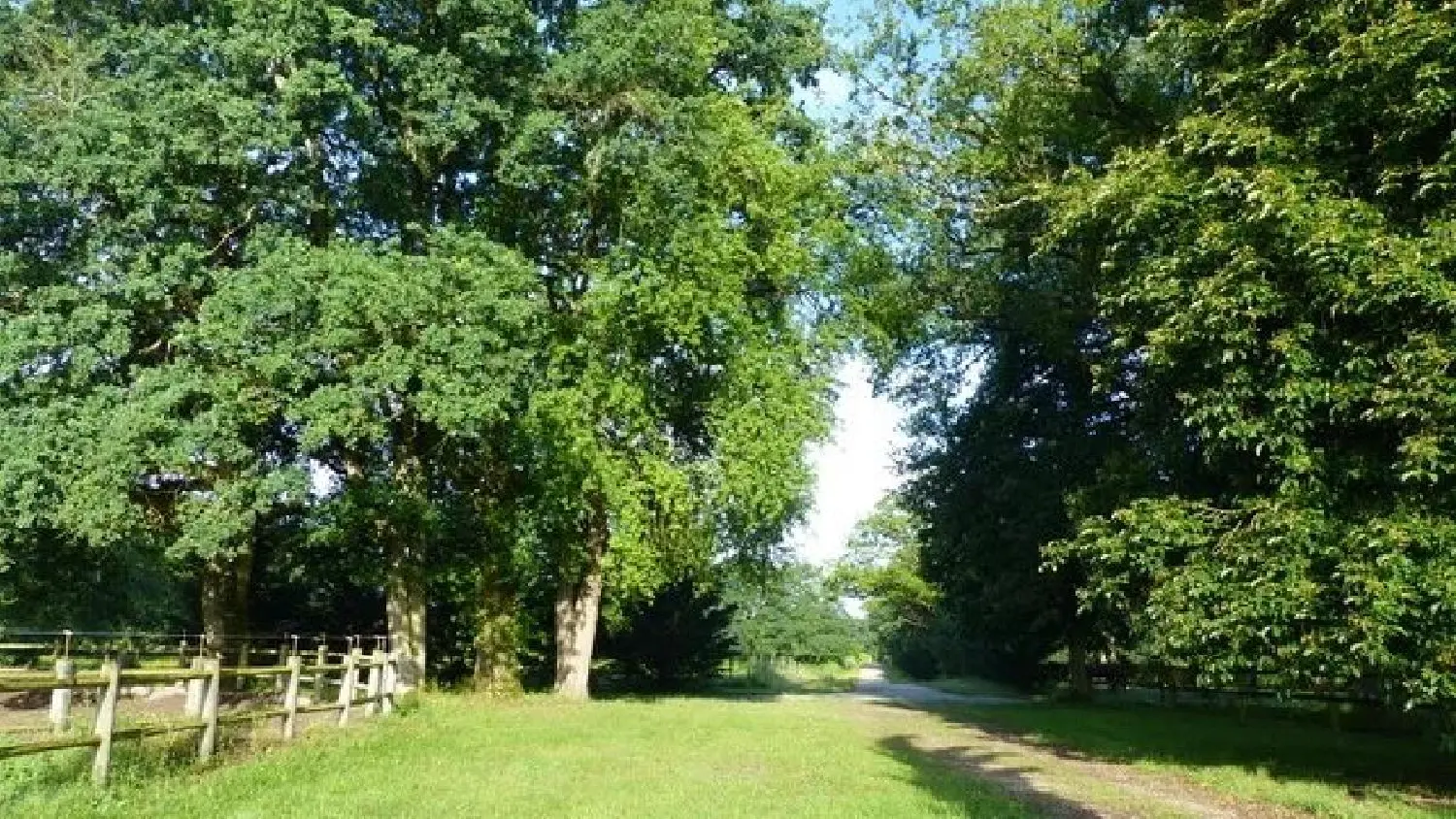  te koop huis Villemurlin Loiret 4