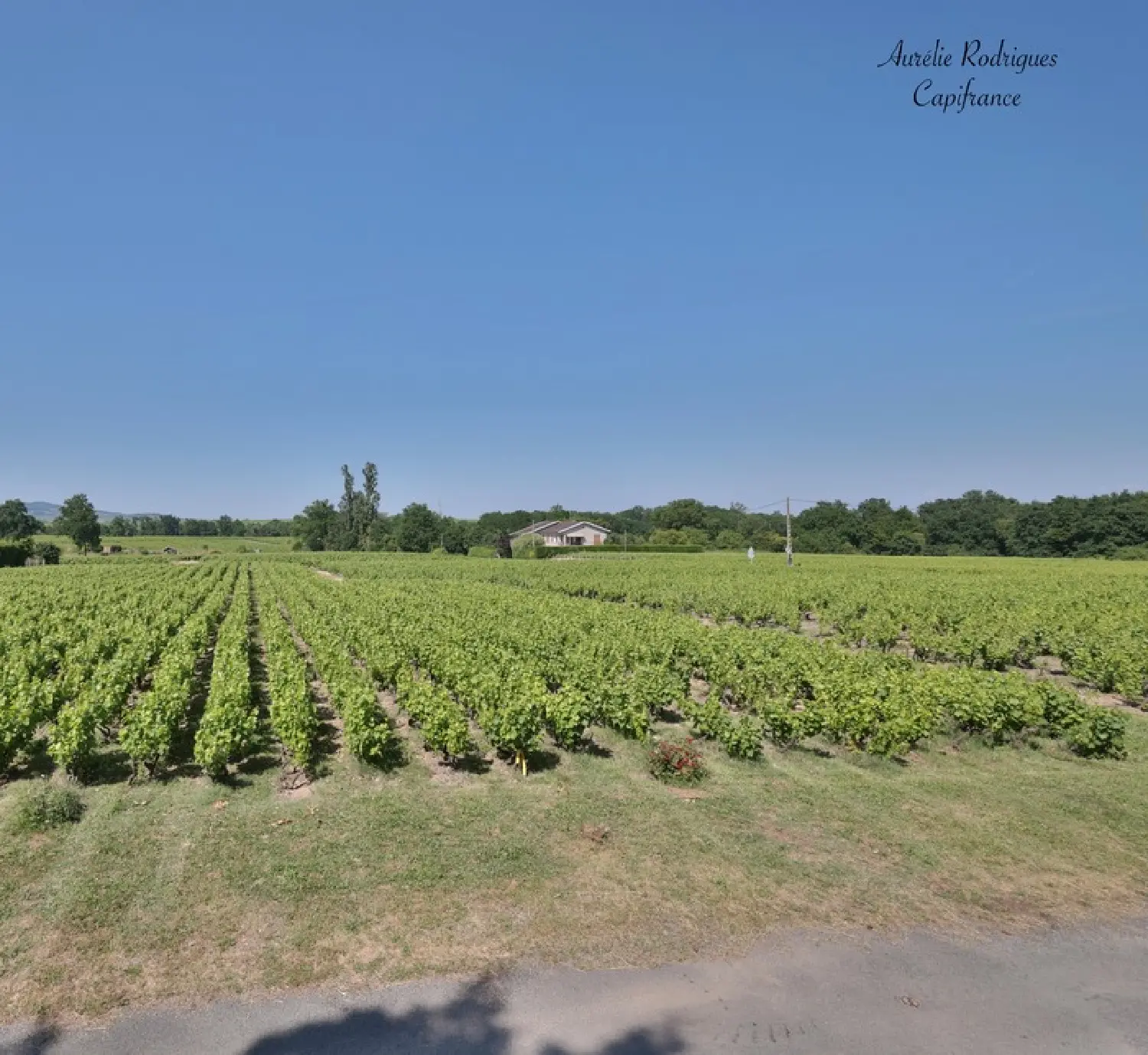  en venta casa Villié-Morgon Rhône 1