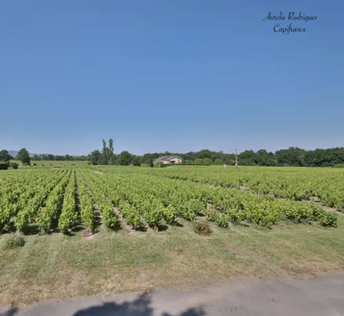 Villié-Morgon Rhône huis foto 7107382