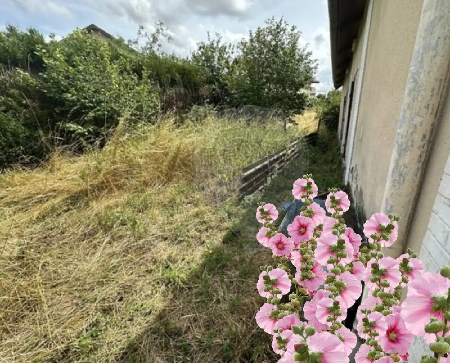  à vendre maison Vittel Vosges 3