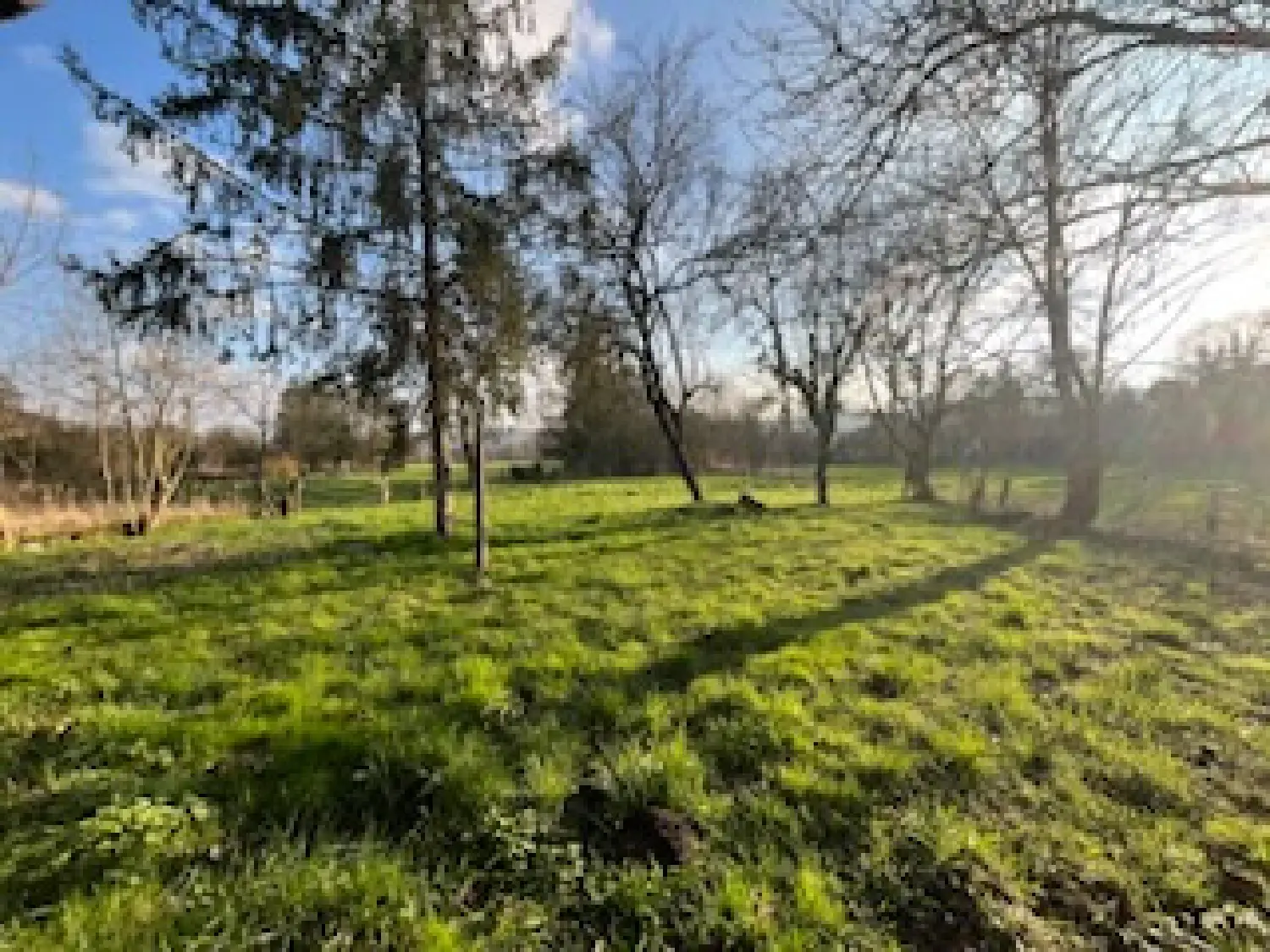  for sale house Voisey Haute-Marne 8
